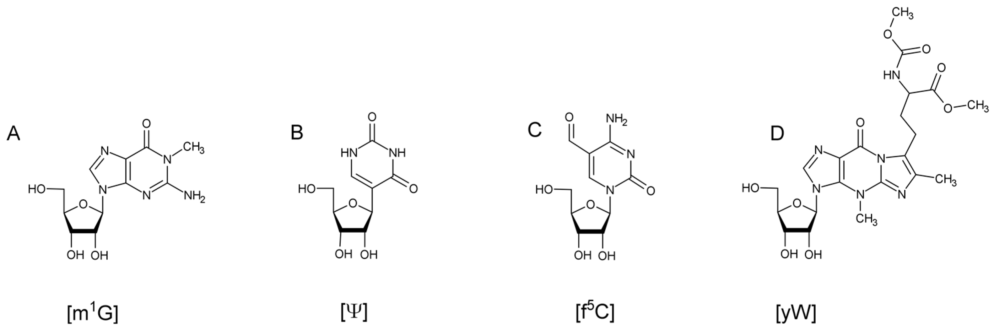 Biomolecules 07 00021 g001 550