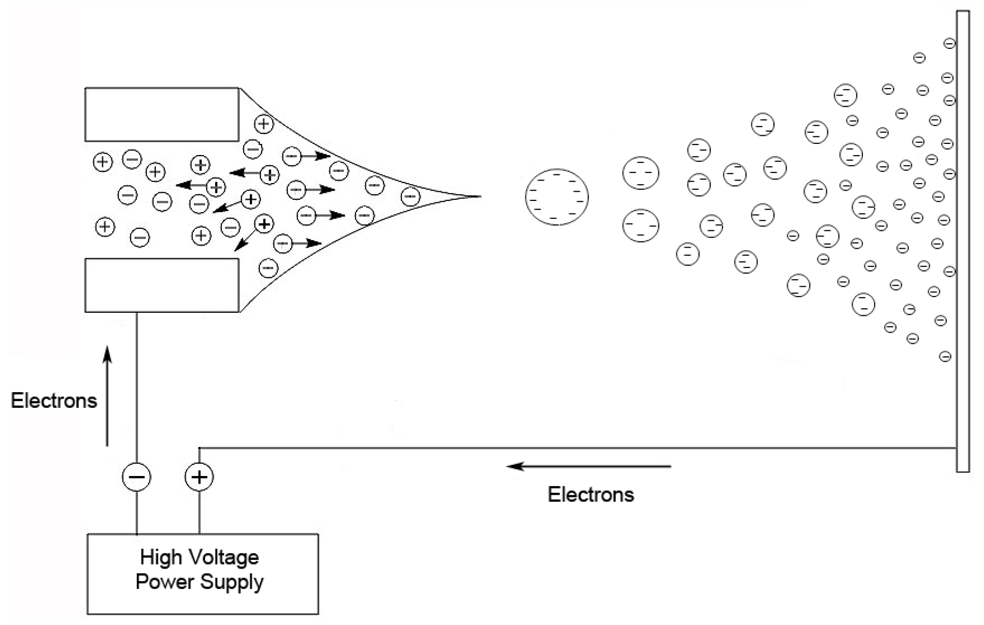 Biomolecules 07 00021 g002 550