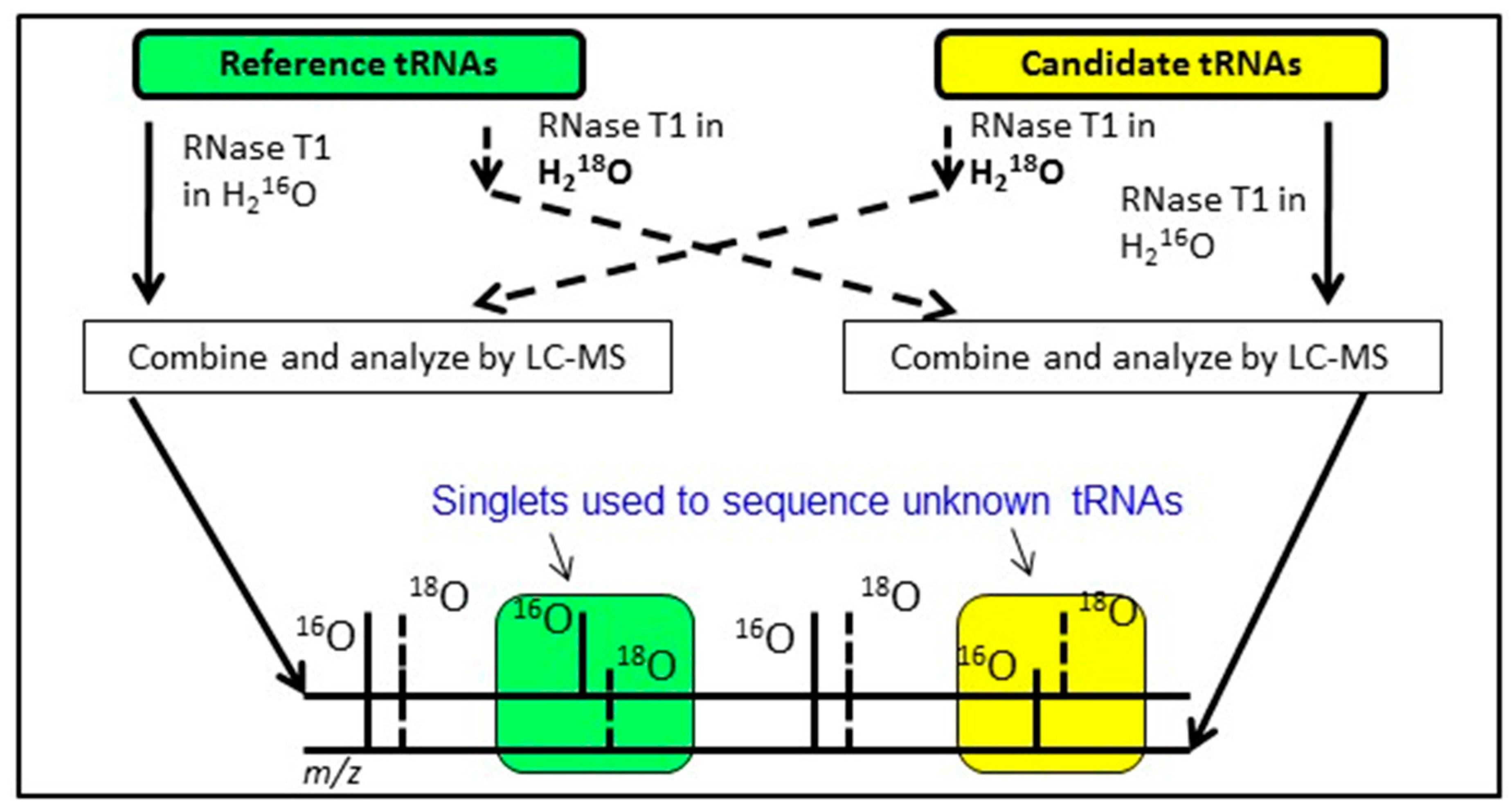 Biomolecules 07 00021 g006 550