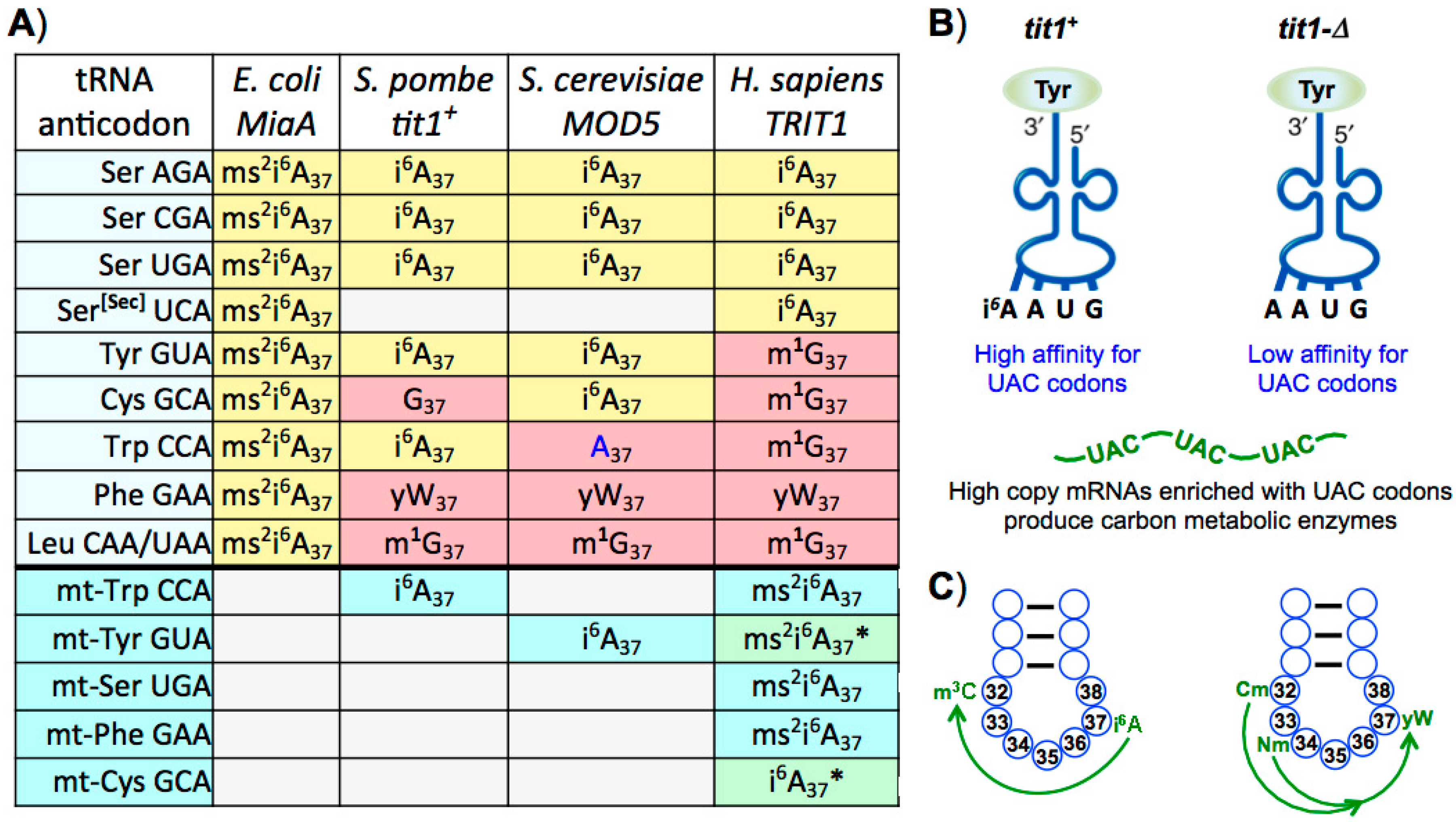 Biomolecules 07 00026 g005