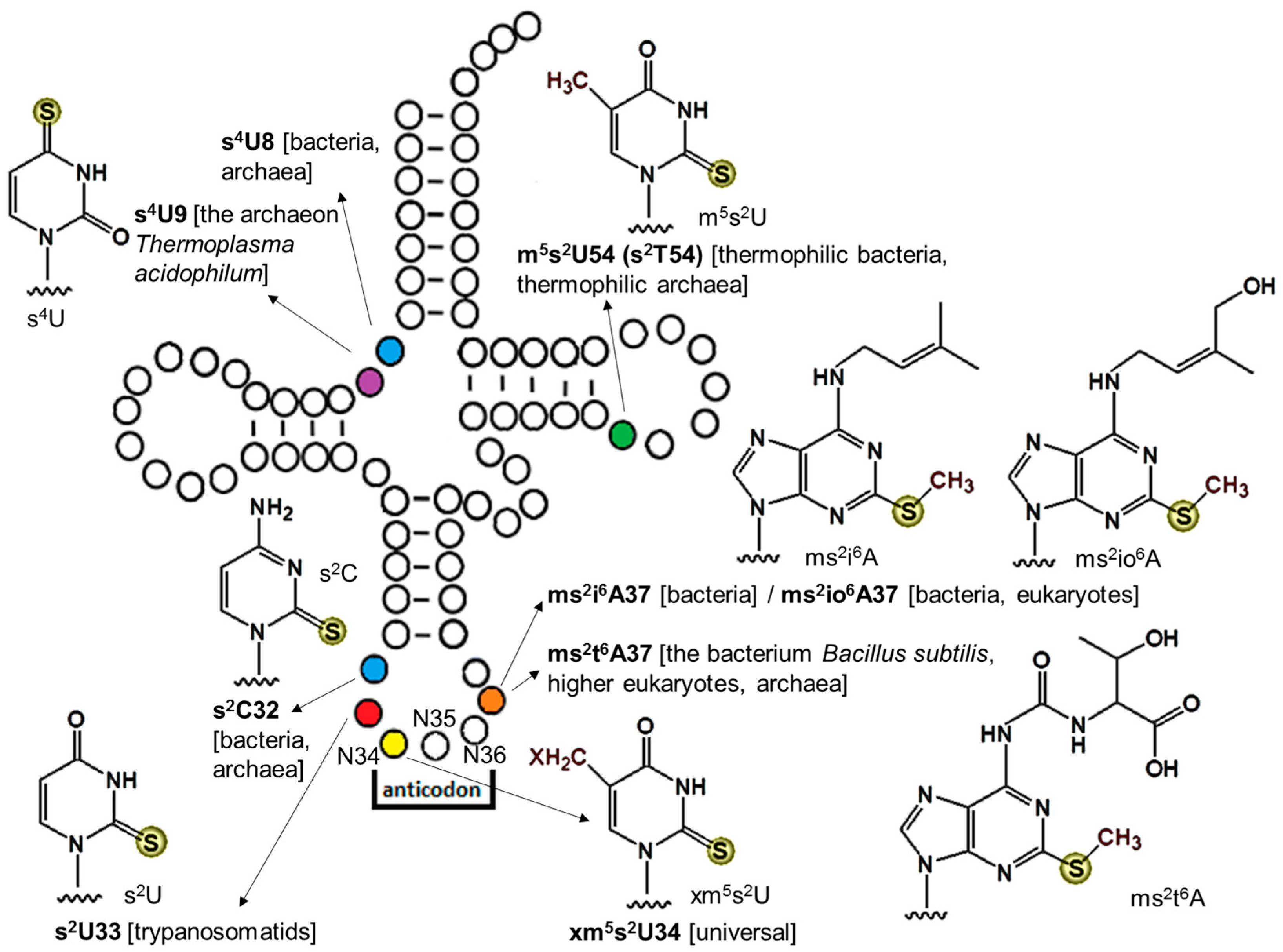 Biomolecules 07 00027 g001