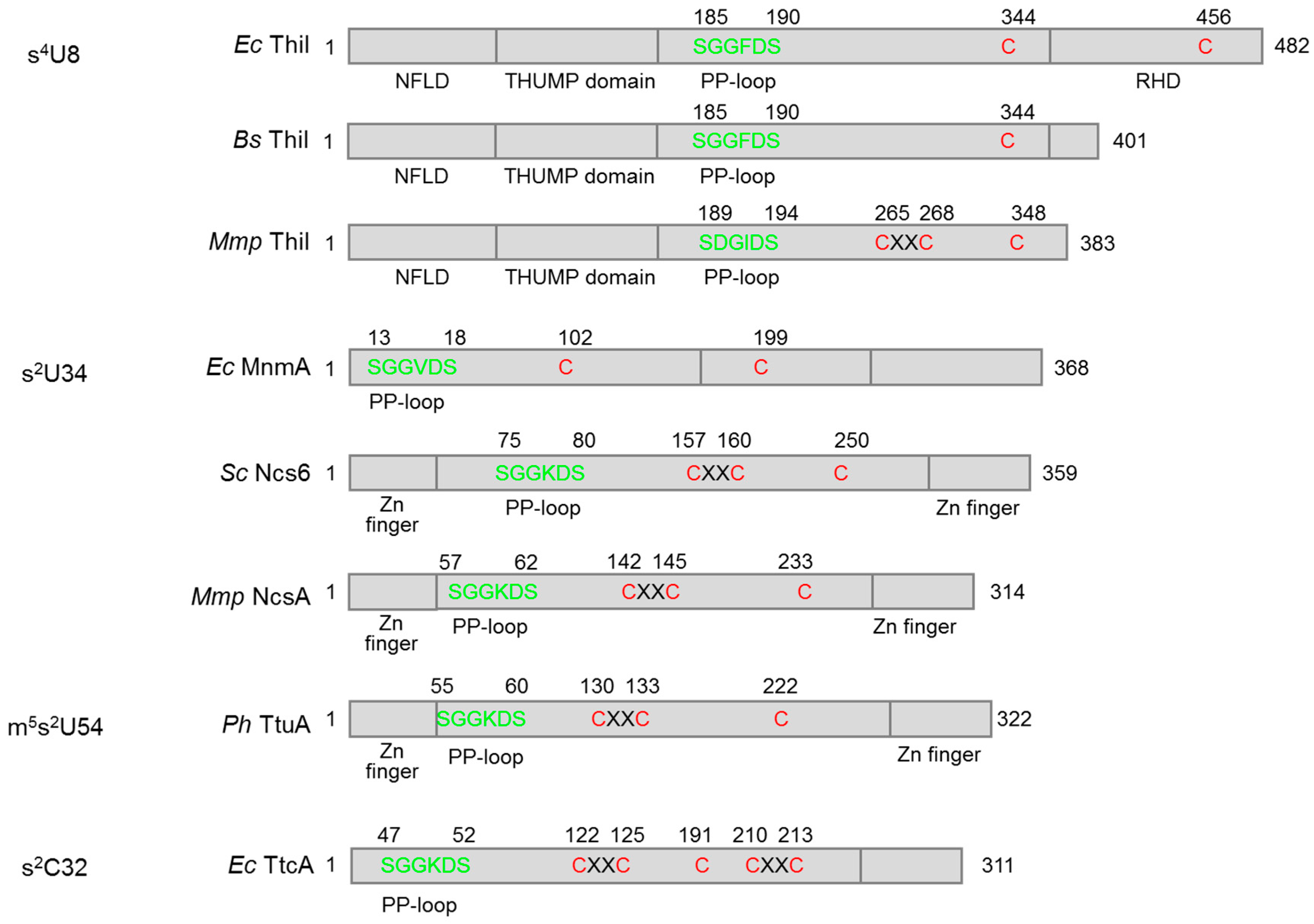 Biomolecules 07 00027 g002
