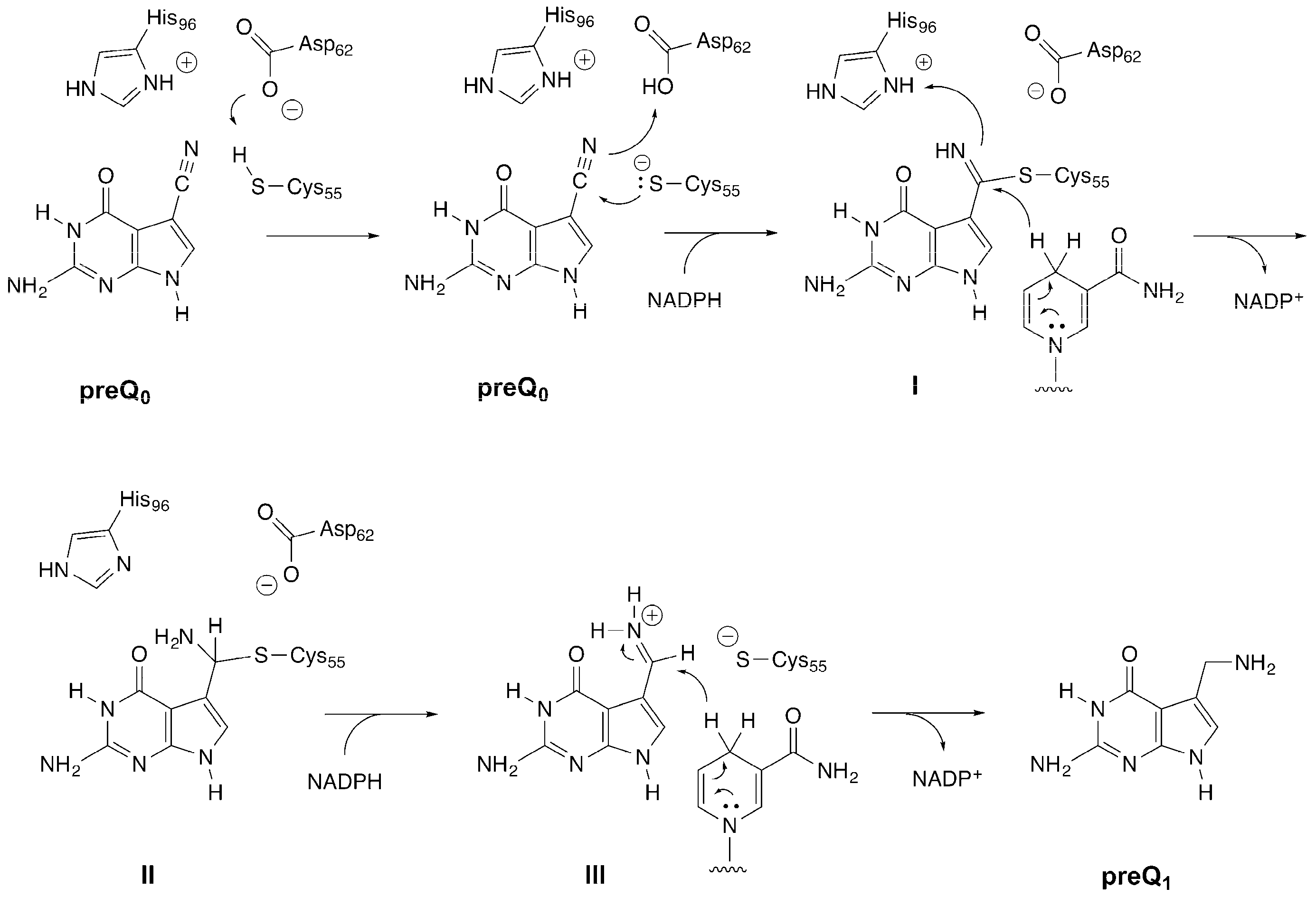 Biomolecules 07 00030 g002