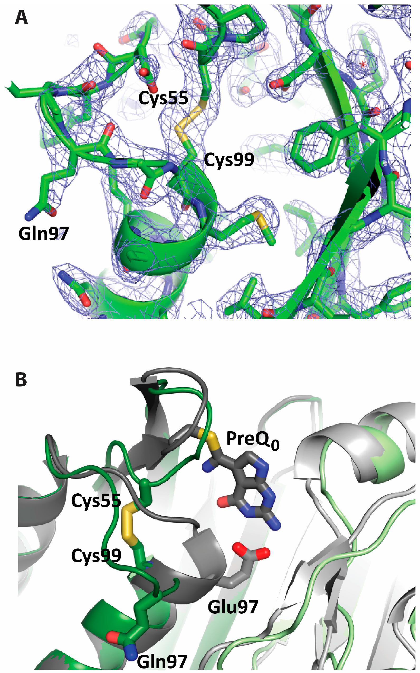 Biomolecules 07 00030 g005