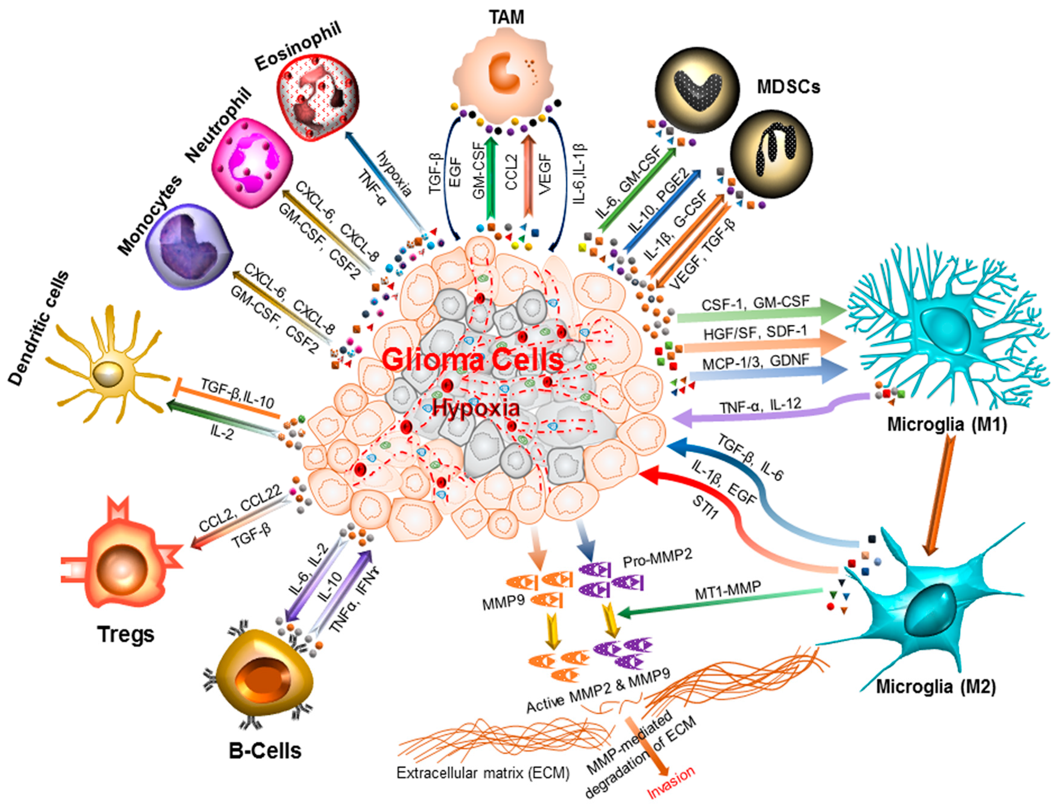 Biomolecules Free FullText The Process and Regulatory Components