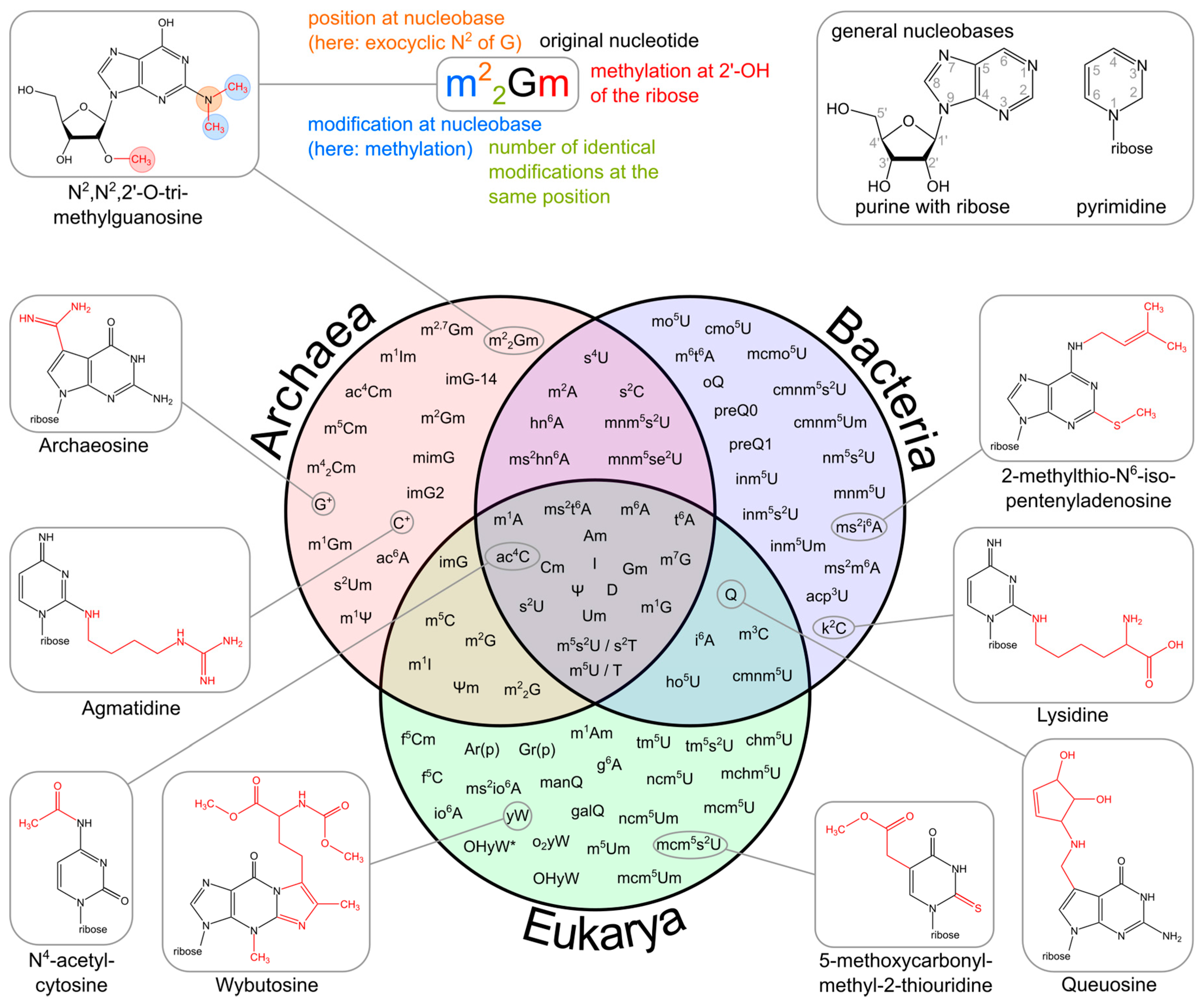 Biomolecules 07 00035 g002