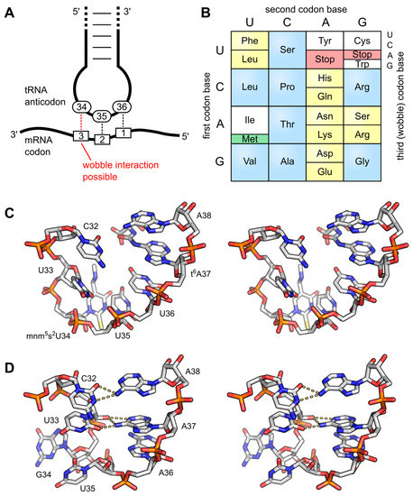 Biomolecules 07 00035 g005 550