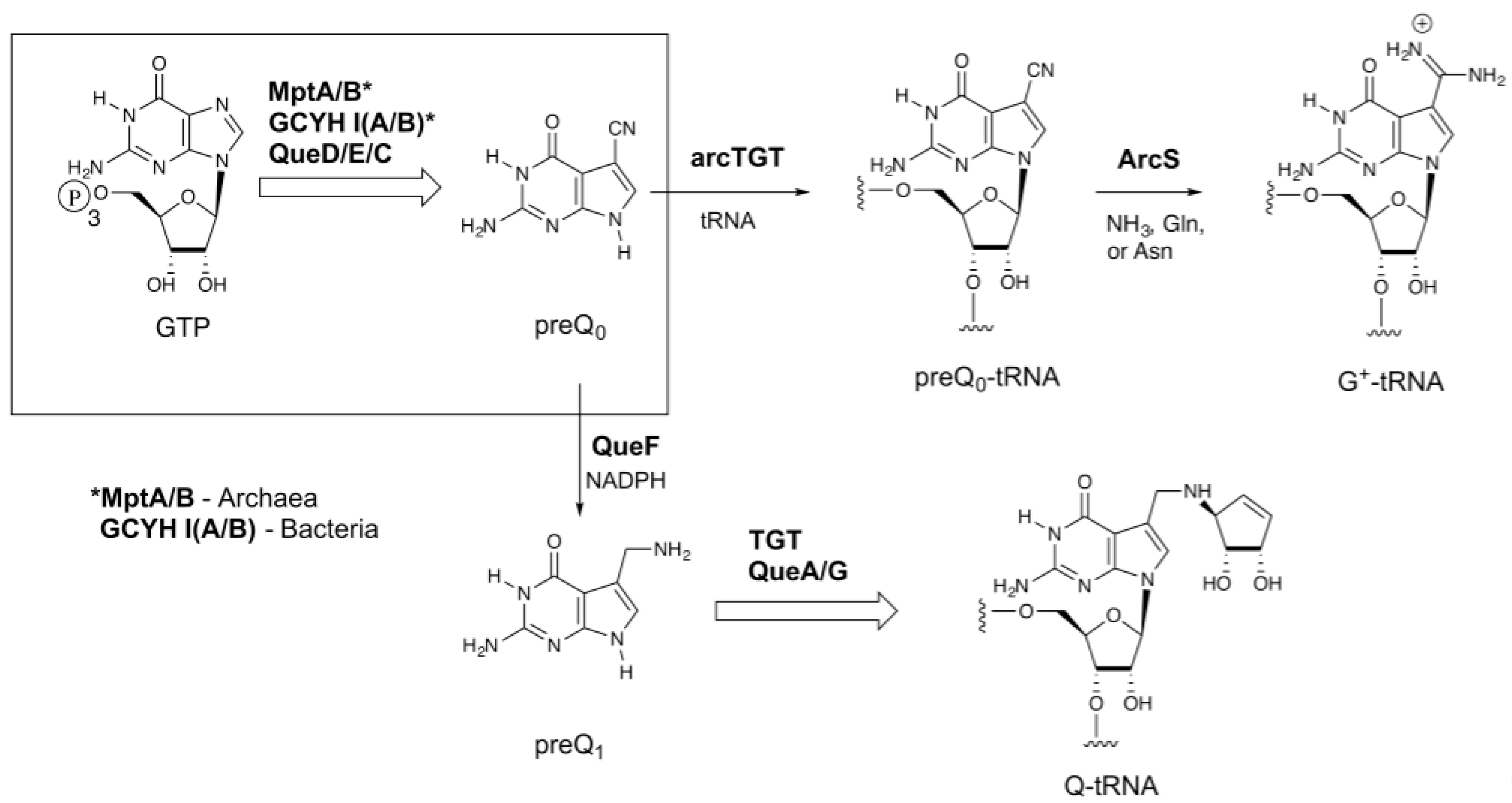 Biomolecules 07 00036 g001