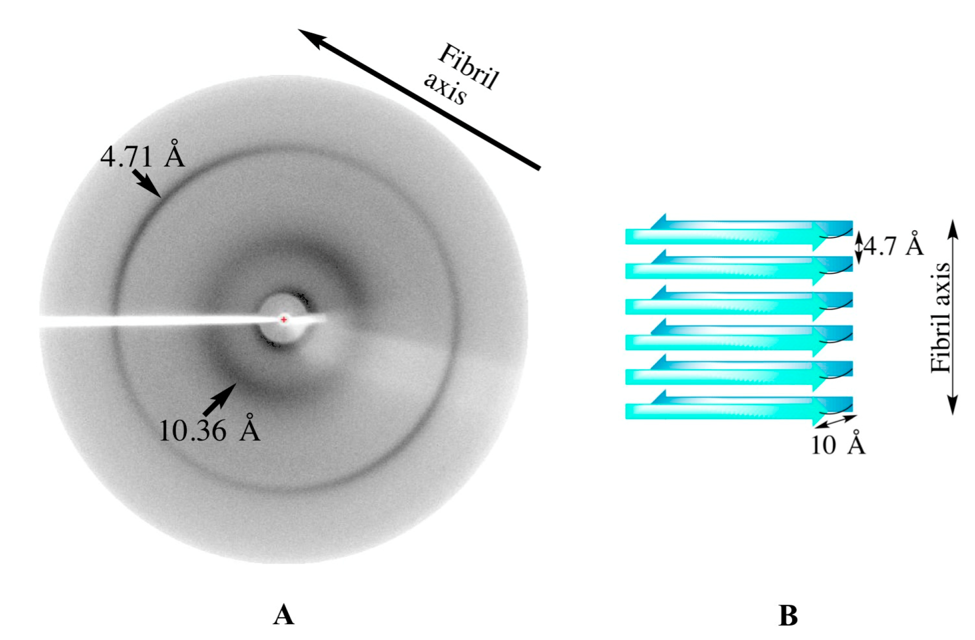 Biomolecules 07 00037 g003