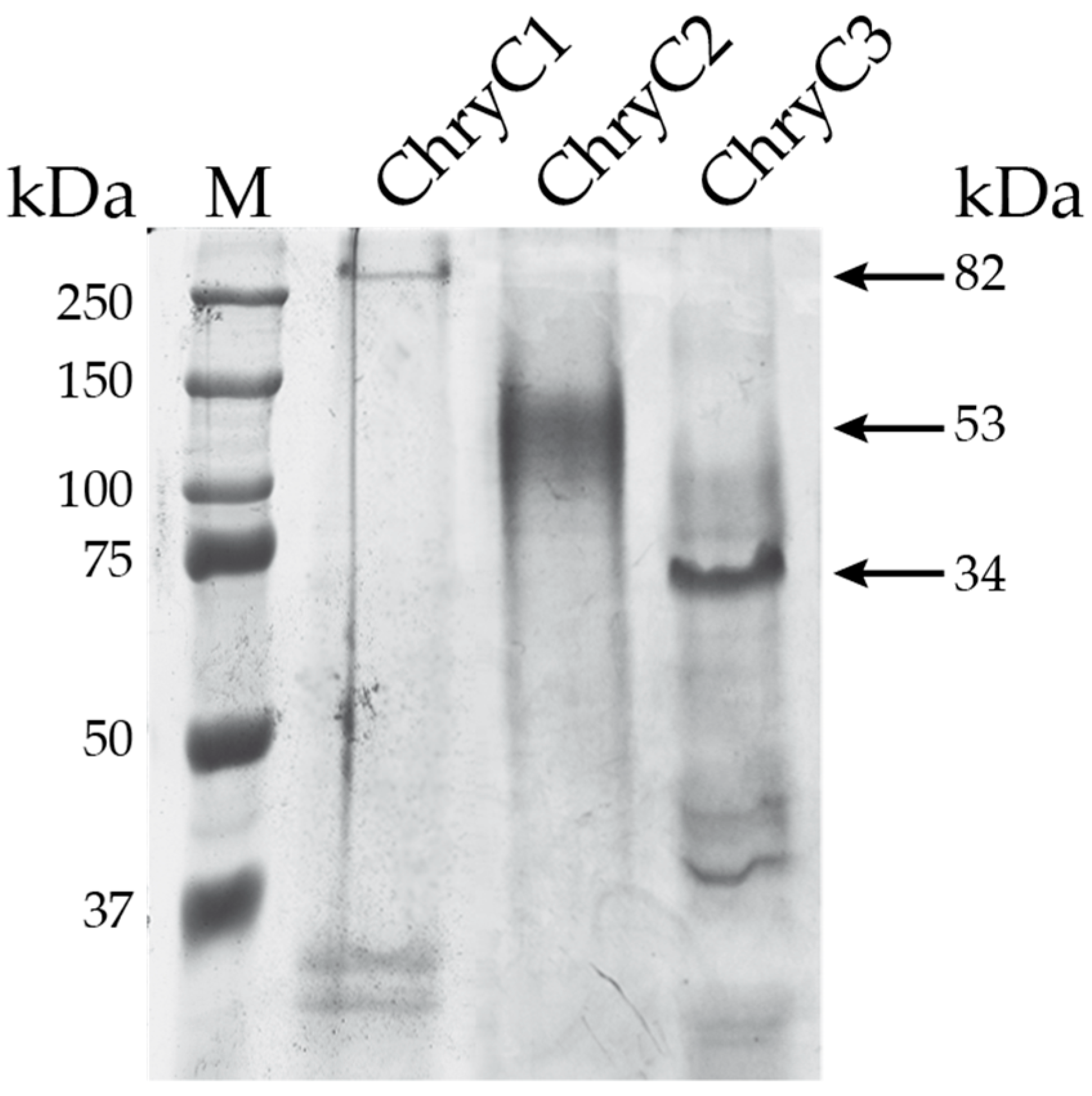 Biomolecules 07 00043 g003 550