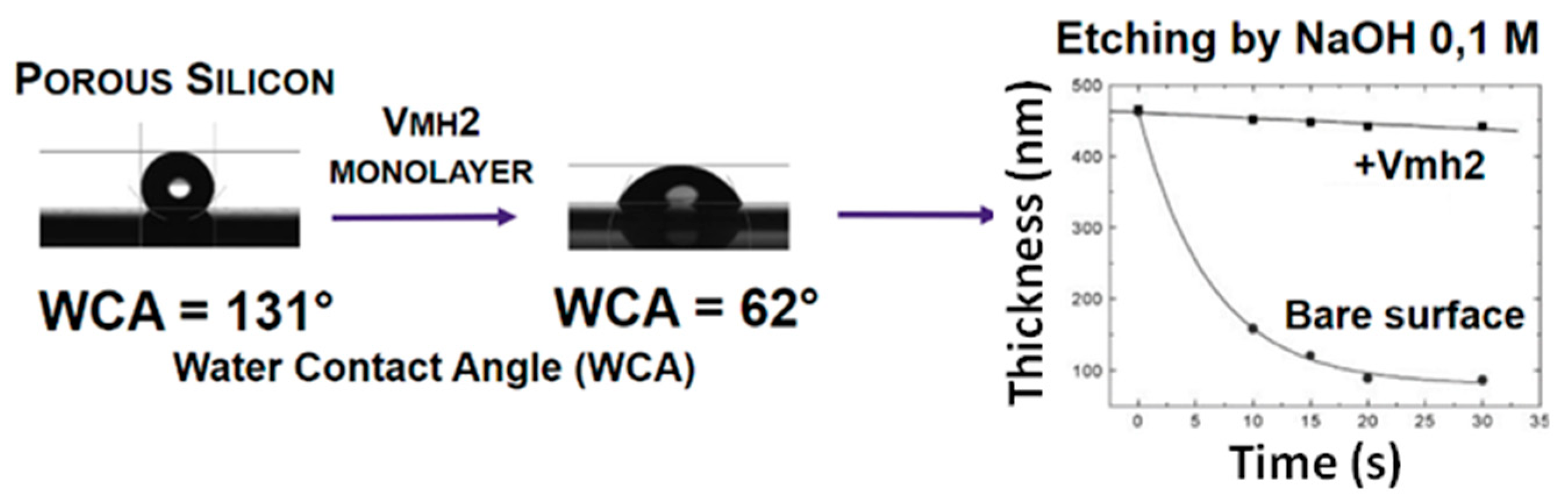 Biomolecules 07 00045 g001