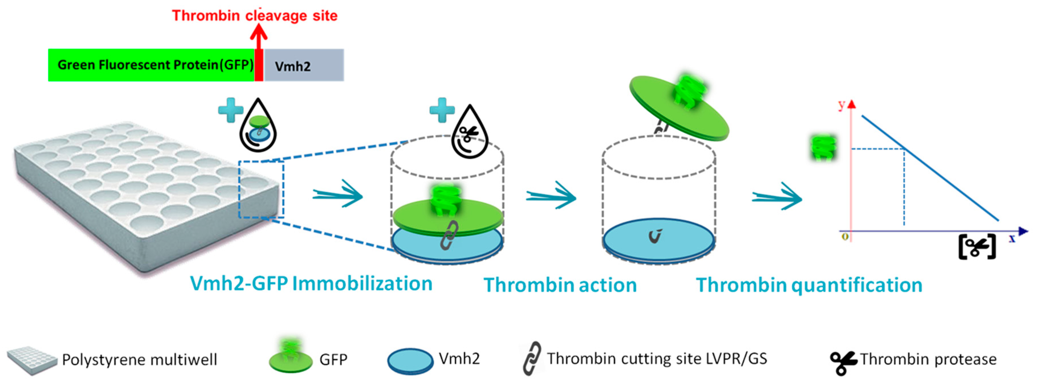 Biomolecules 07 00045 g004