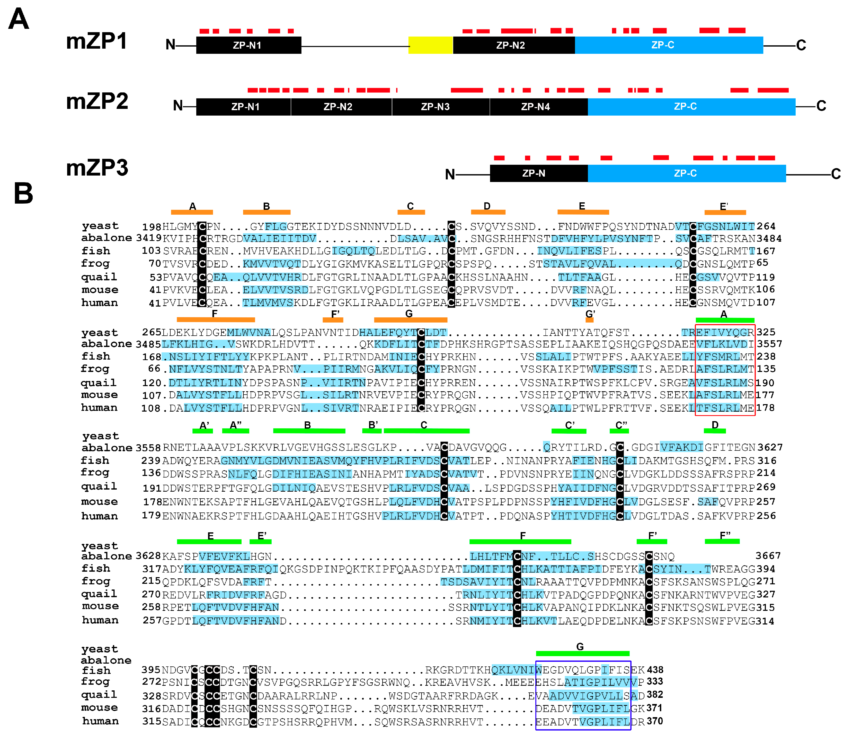 Biomolecules 07 00046 g002