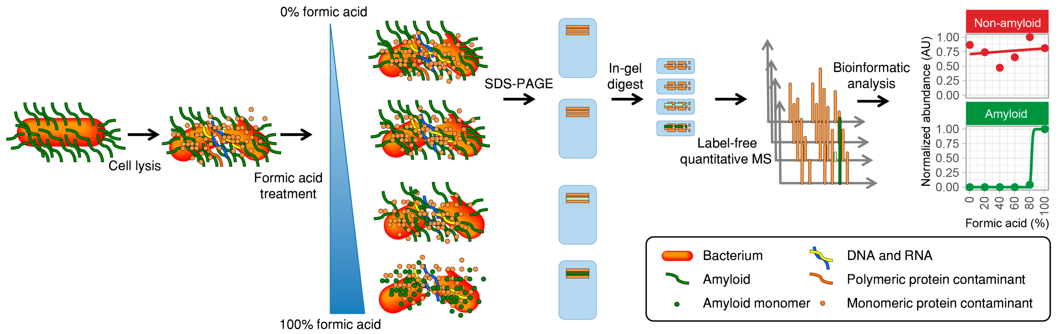 Biomolecules 07 00058 g001