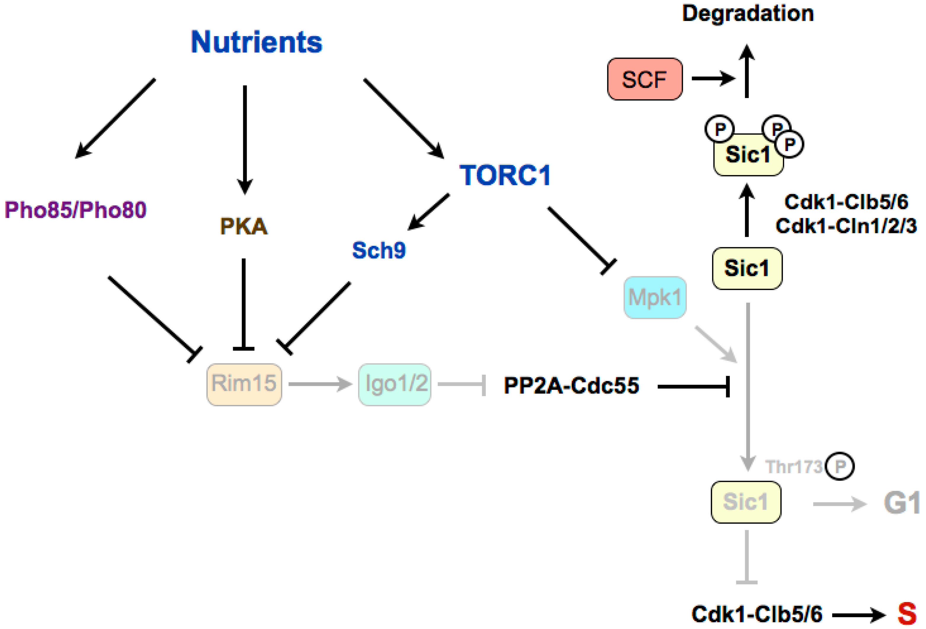 Biomolecules 07 00059 g002