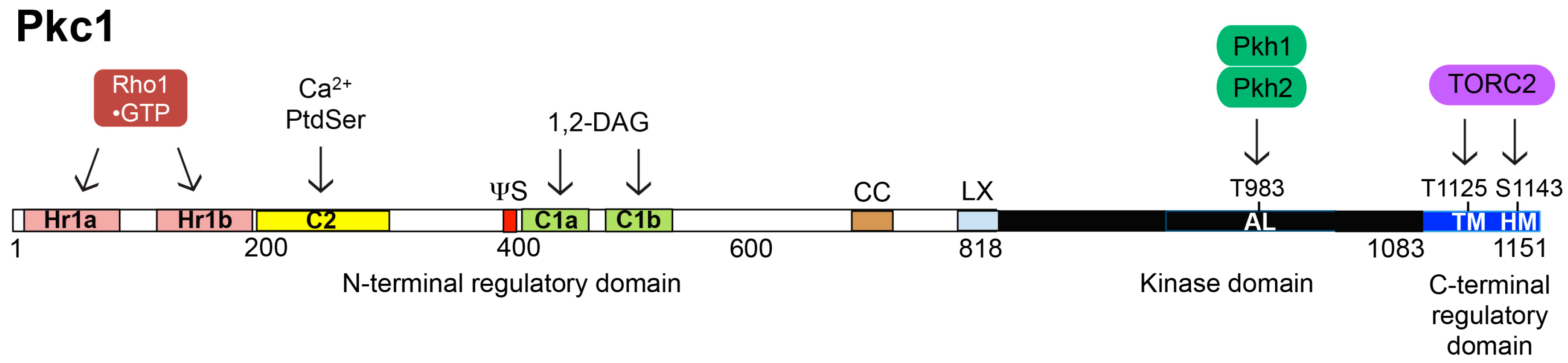 Biomolecules 07 00066 g002