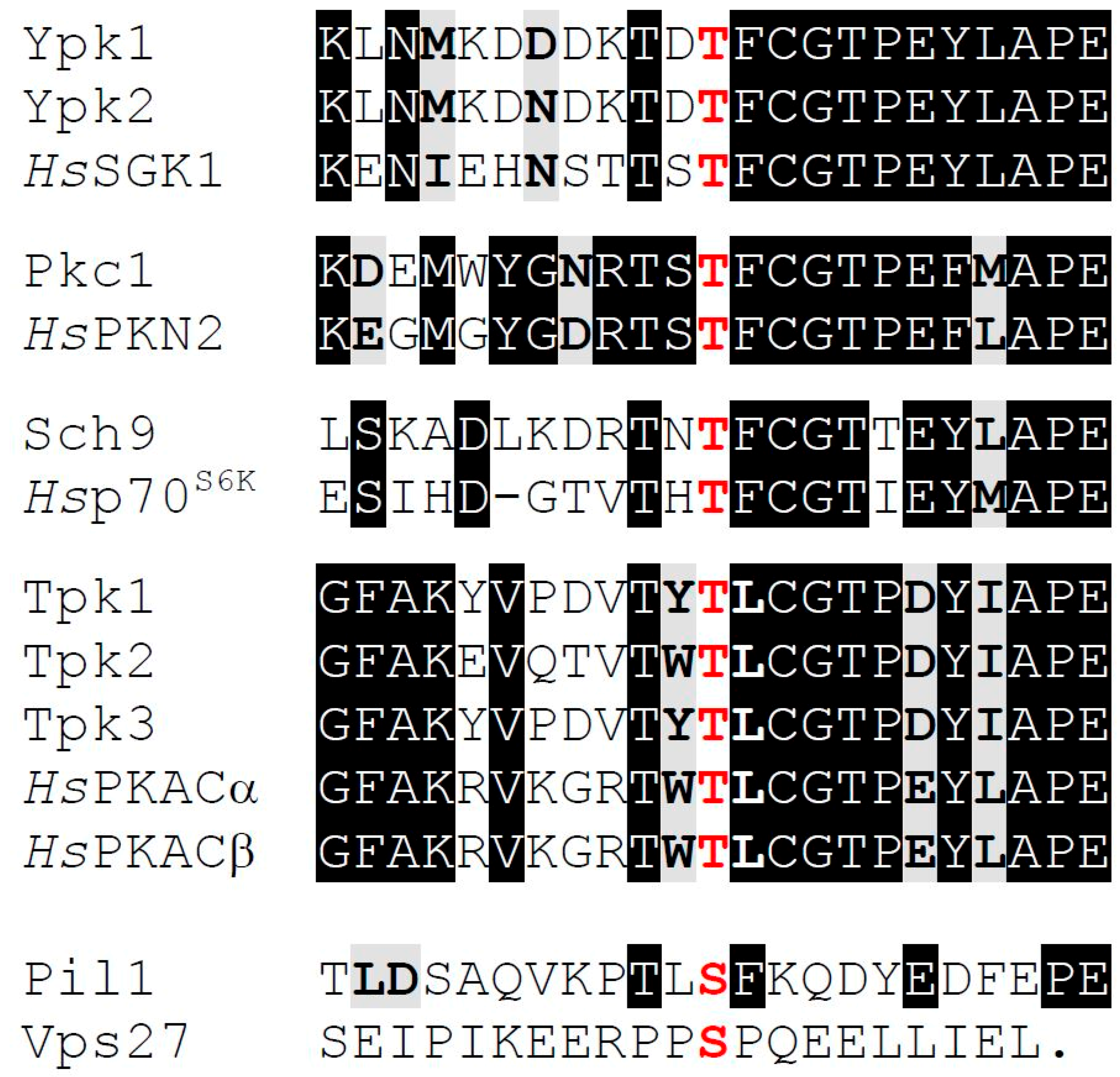 Biomolecules 07 00066 g004