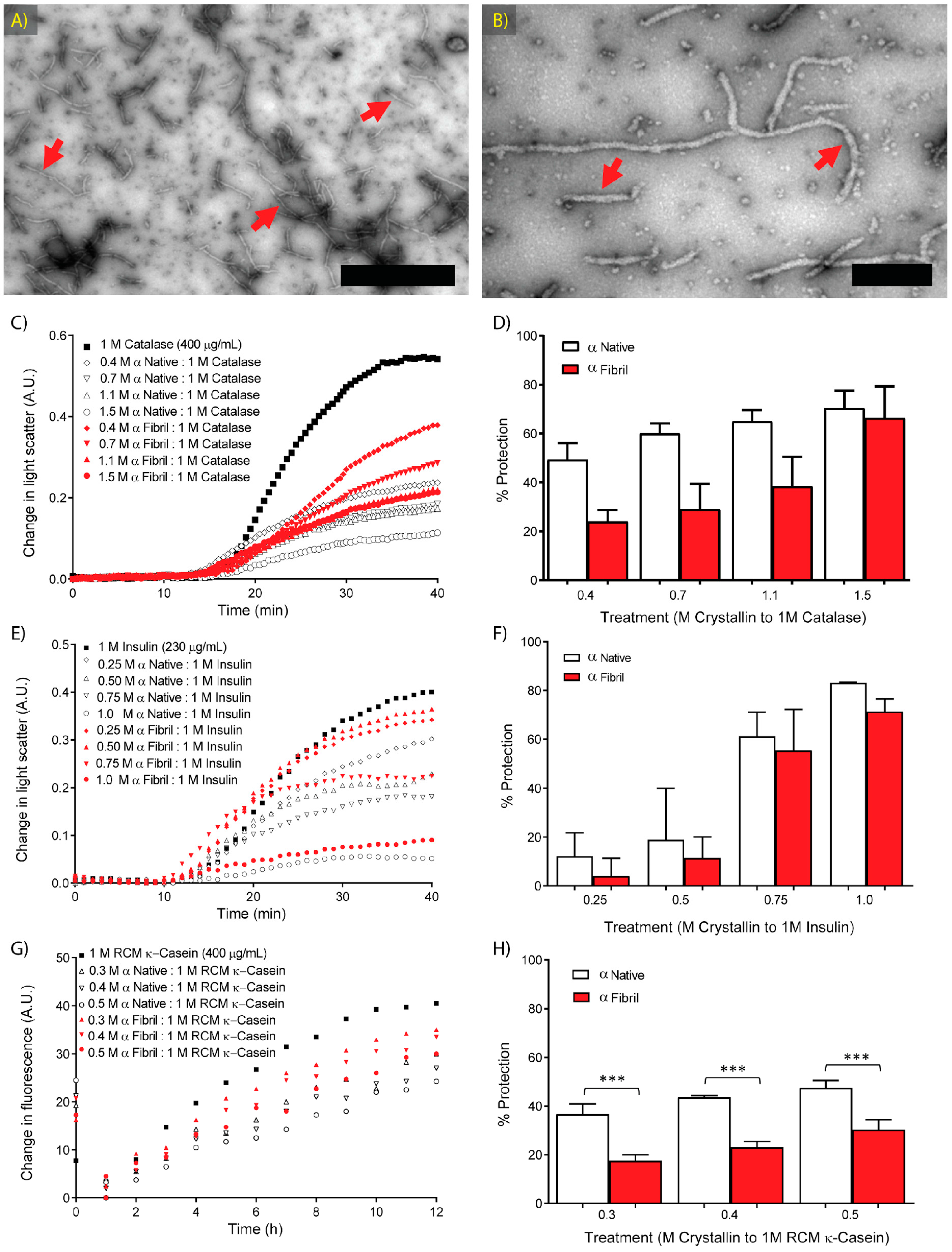 Biomolecules 07 00067 g001