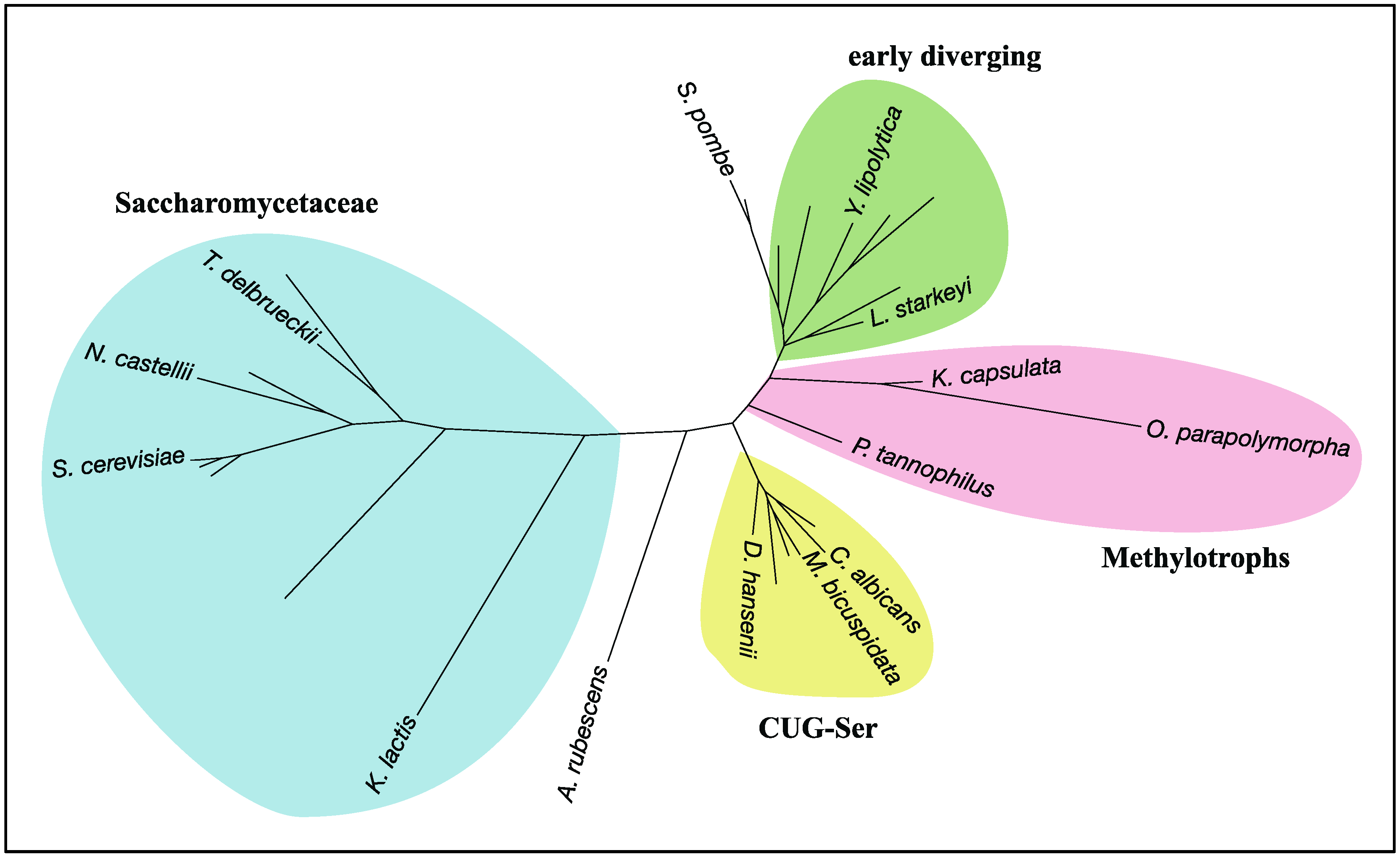 Biomolecules 07 00077 g005 Biomolecules 07 00077 g005