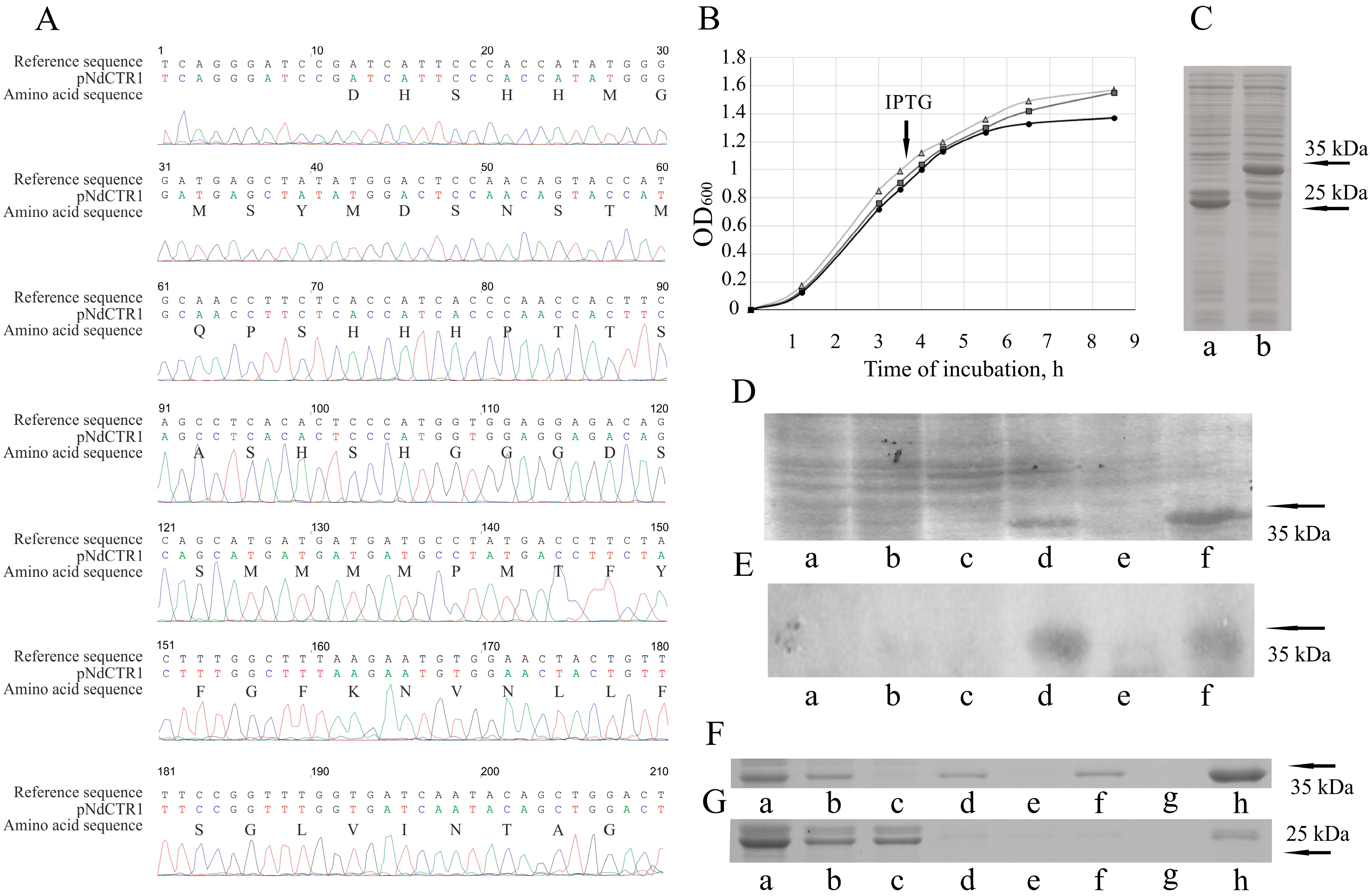 Biomolecules 07 00078 g001 Biomolecules 07 00078 g001