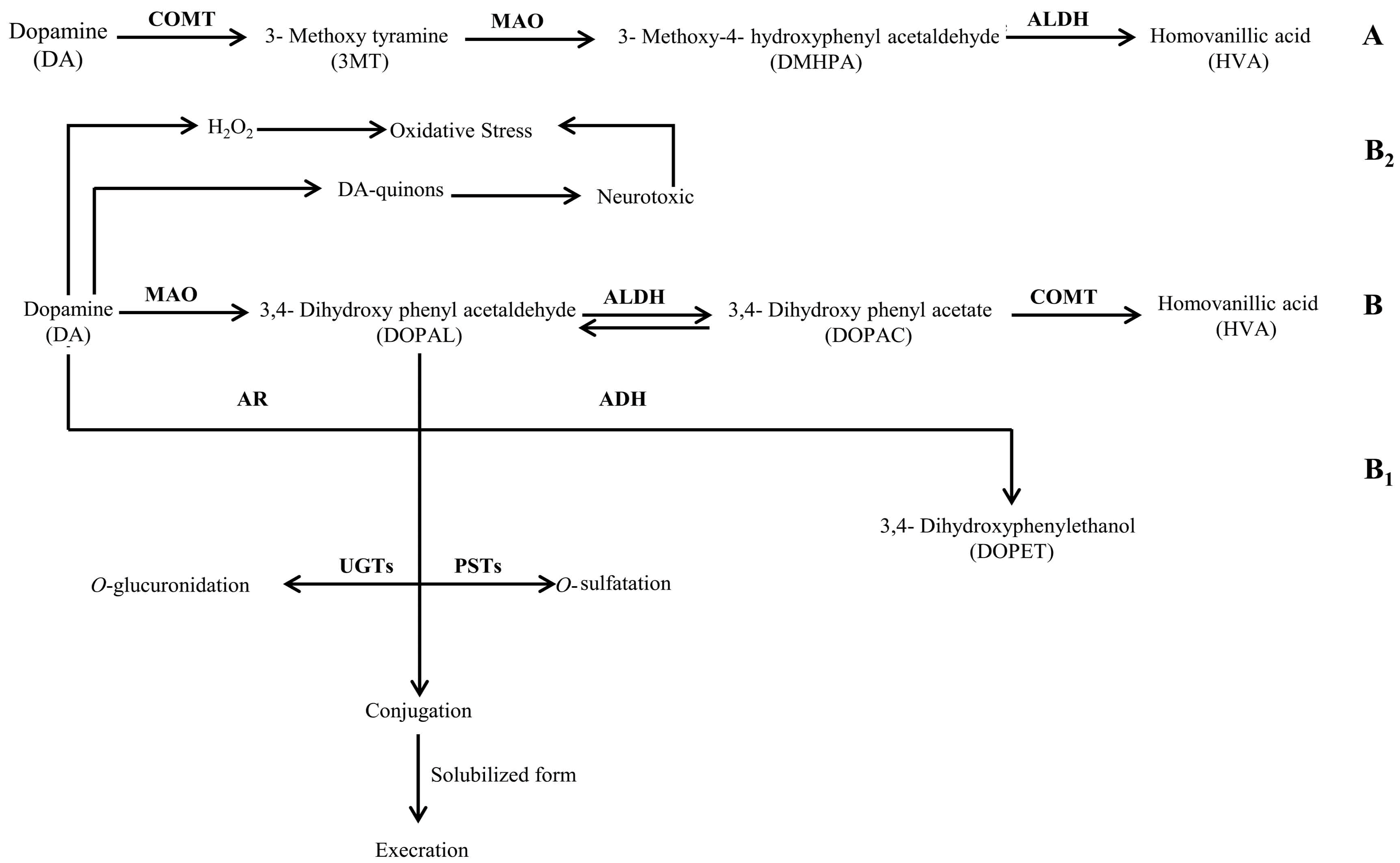 Biomolecules 08 00010 g002
