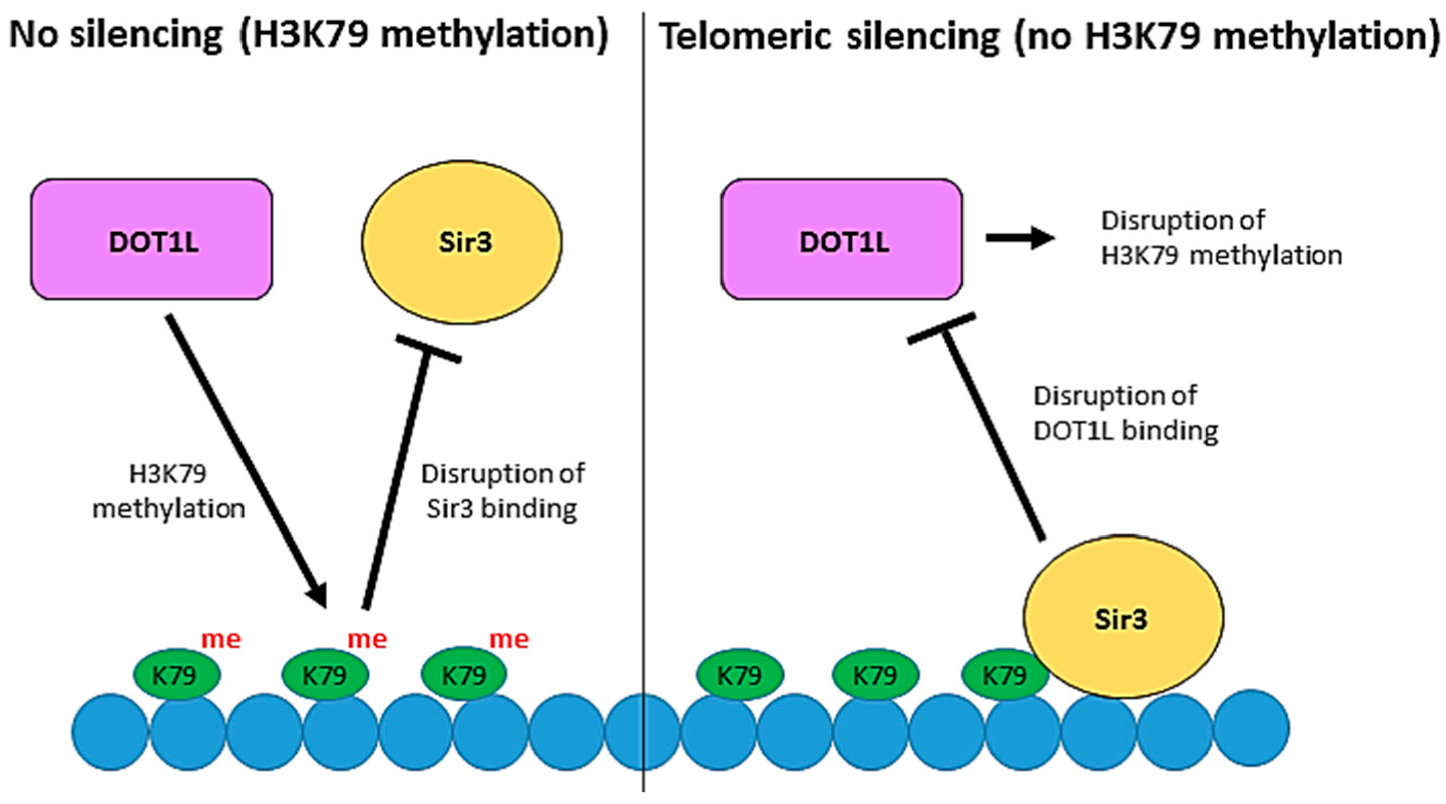 Biomolecules 08 00011 g003 Biomolecules 08 00011 g003