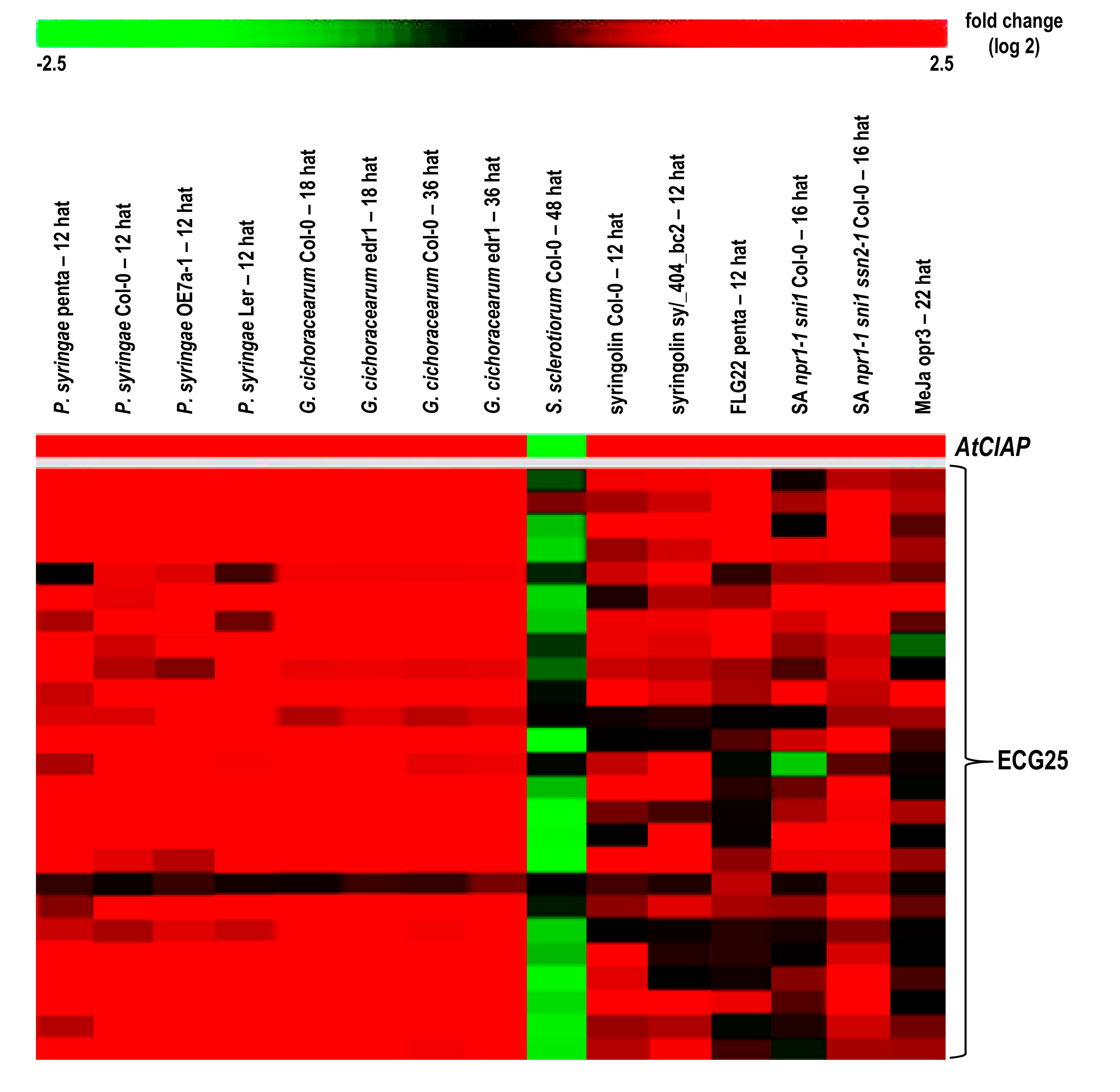 Biomolecules 08 00015 g004