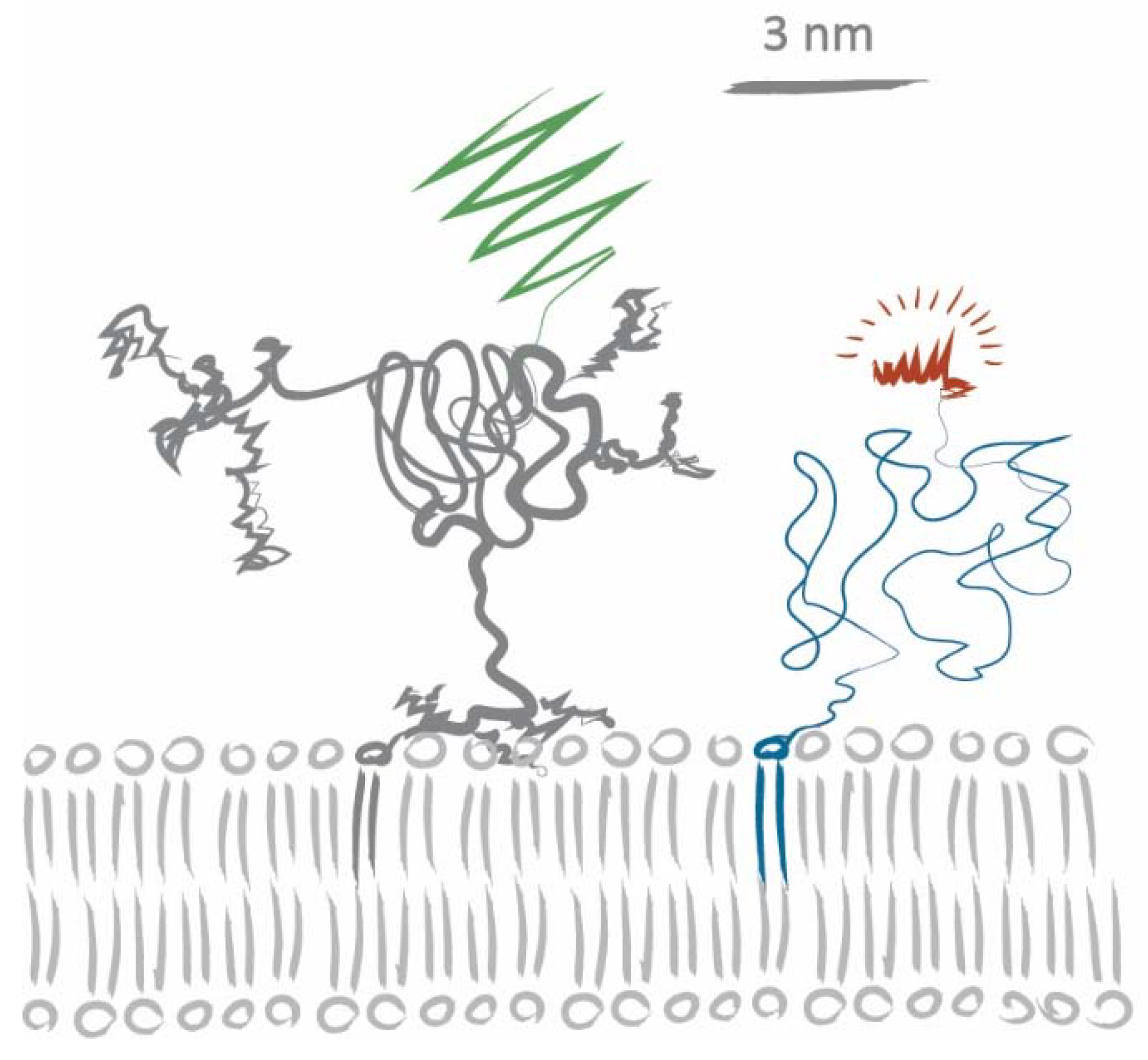 Biomolecules 08 00028 g004 550