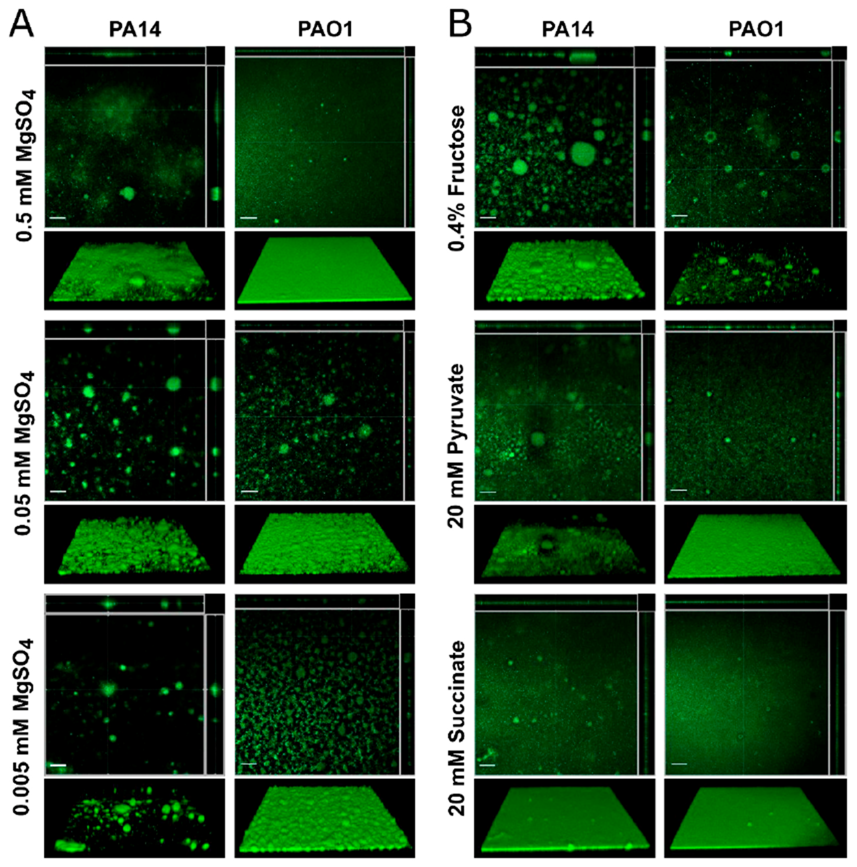 Biomolecules 08 00029 g005