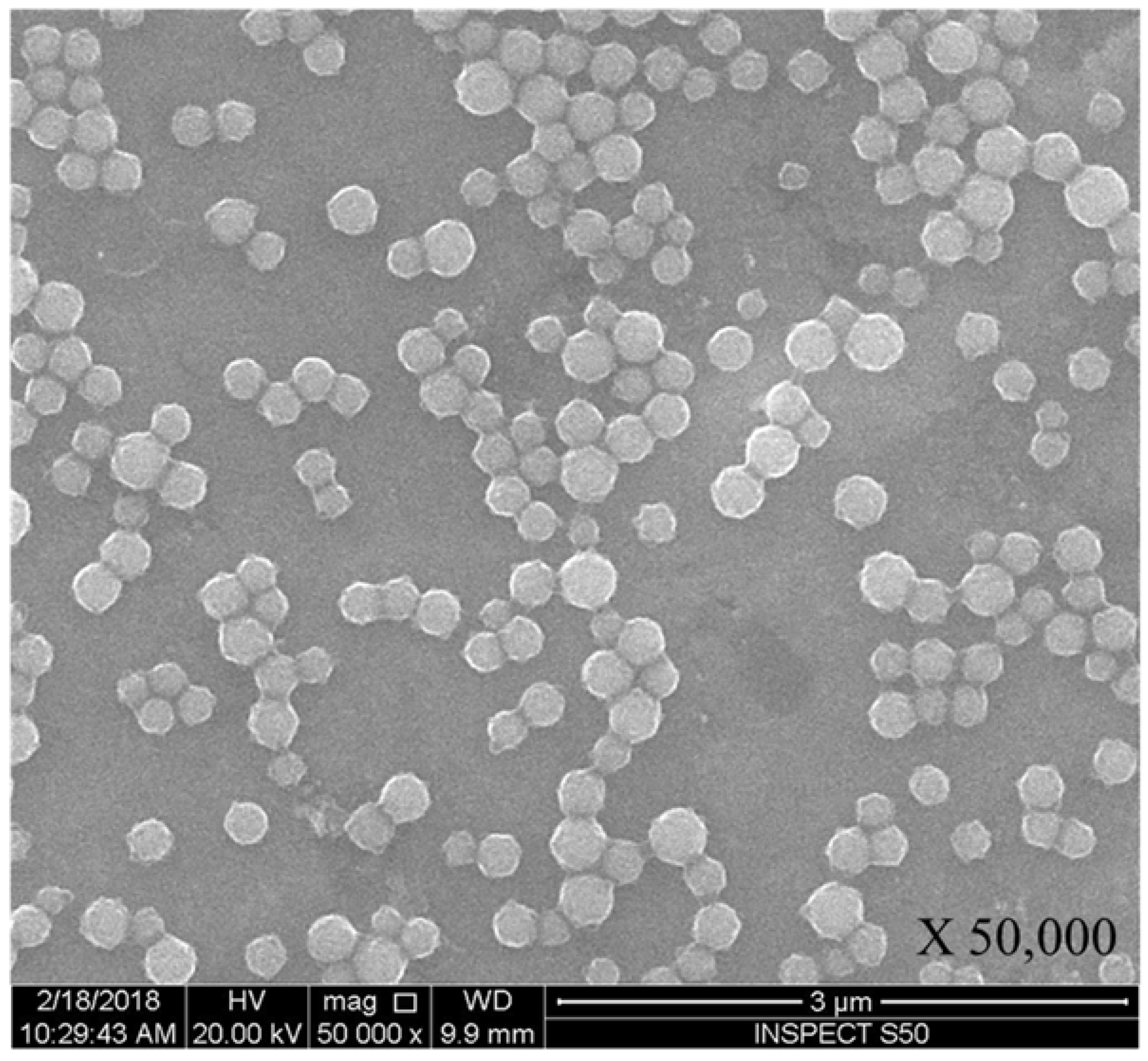 Biomolecules 08 00032 g001