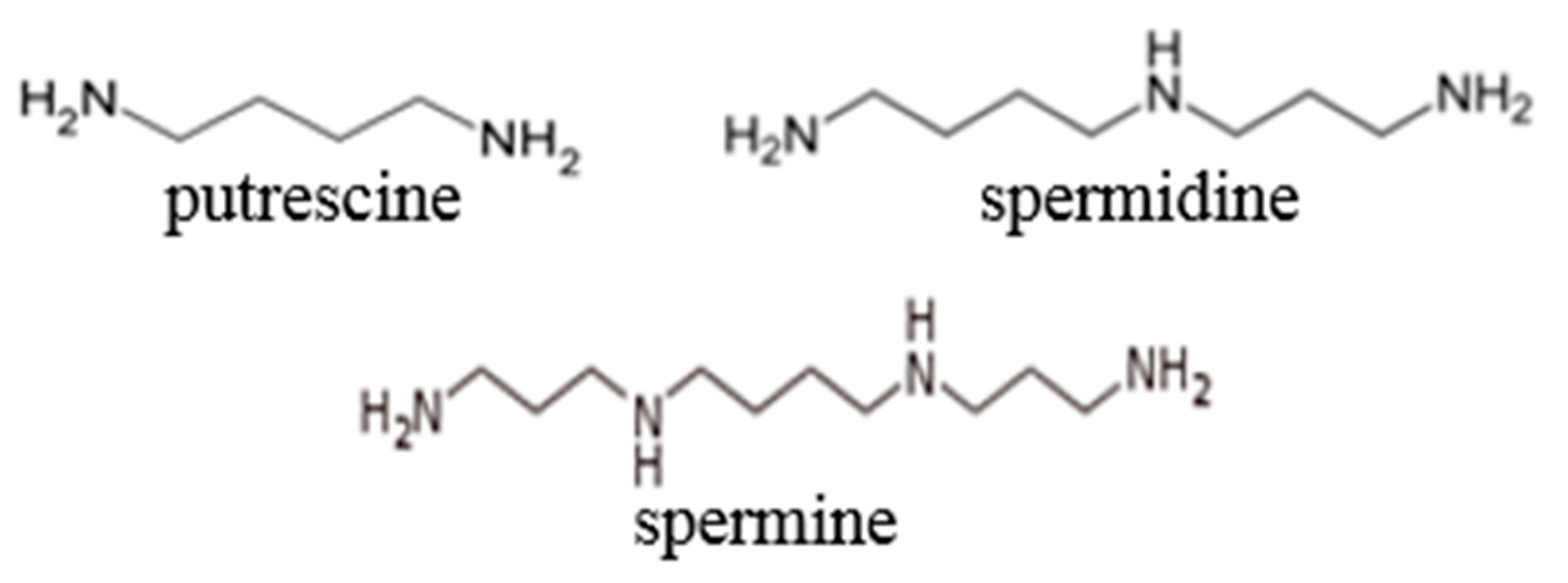 Biomolecules 08 00034 g002