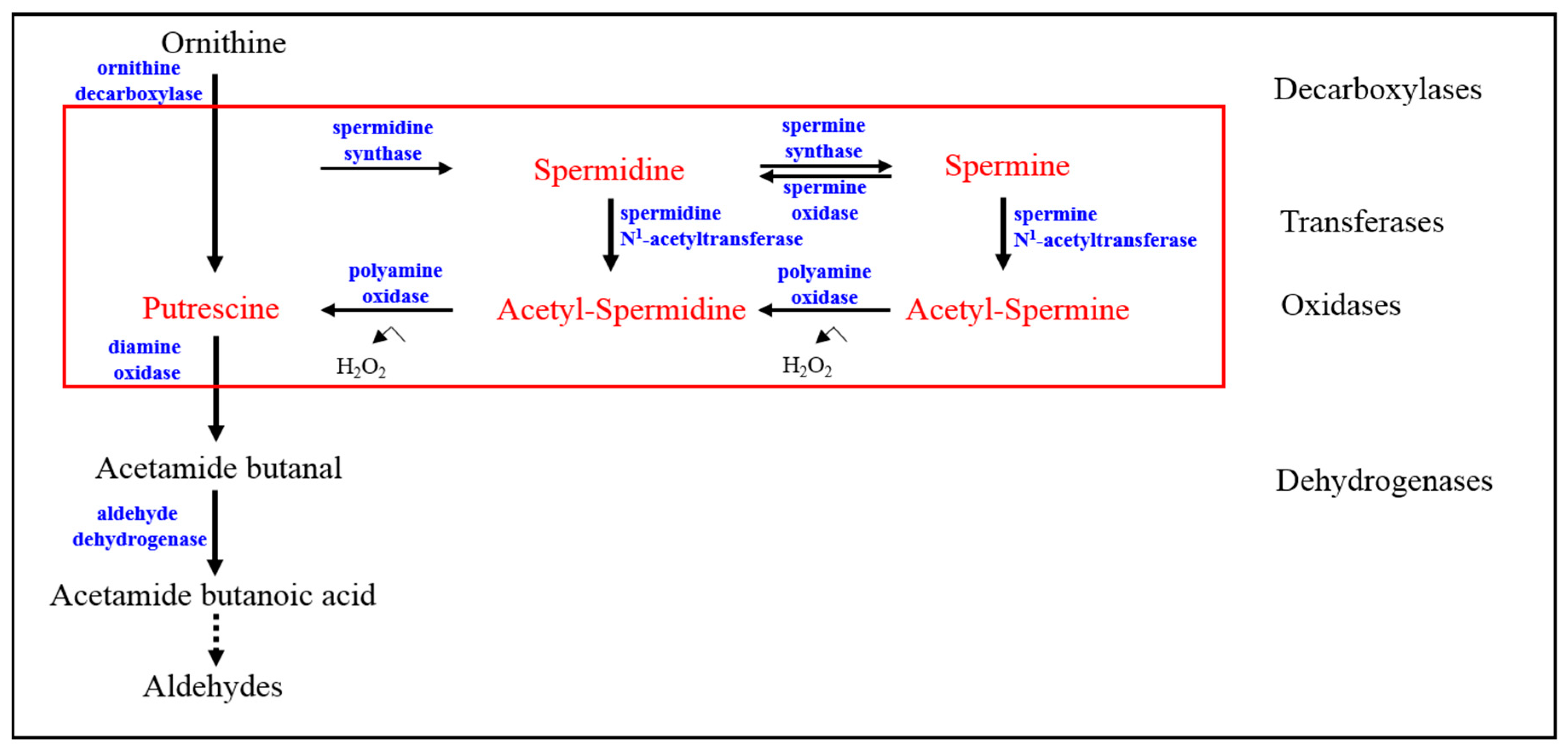 Biomolecules 08 00034 g003