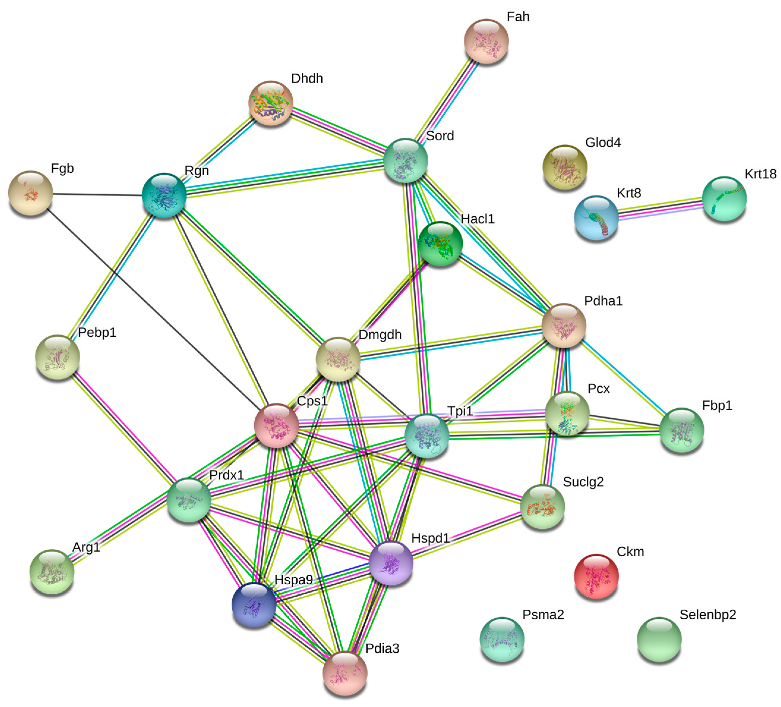 Biomolecules 08 00035 g002