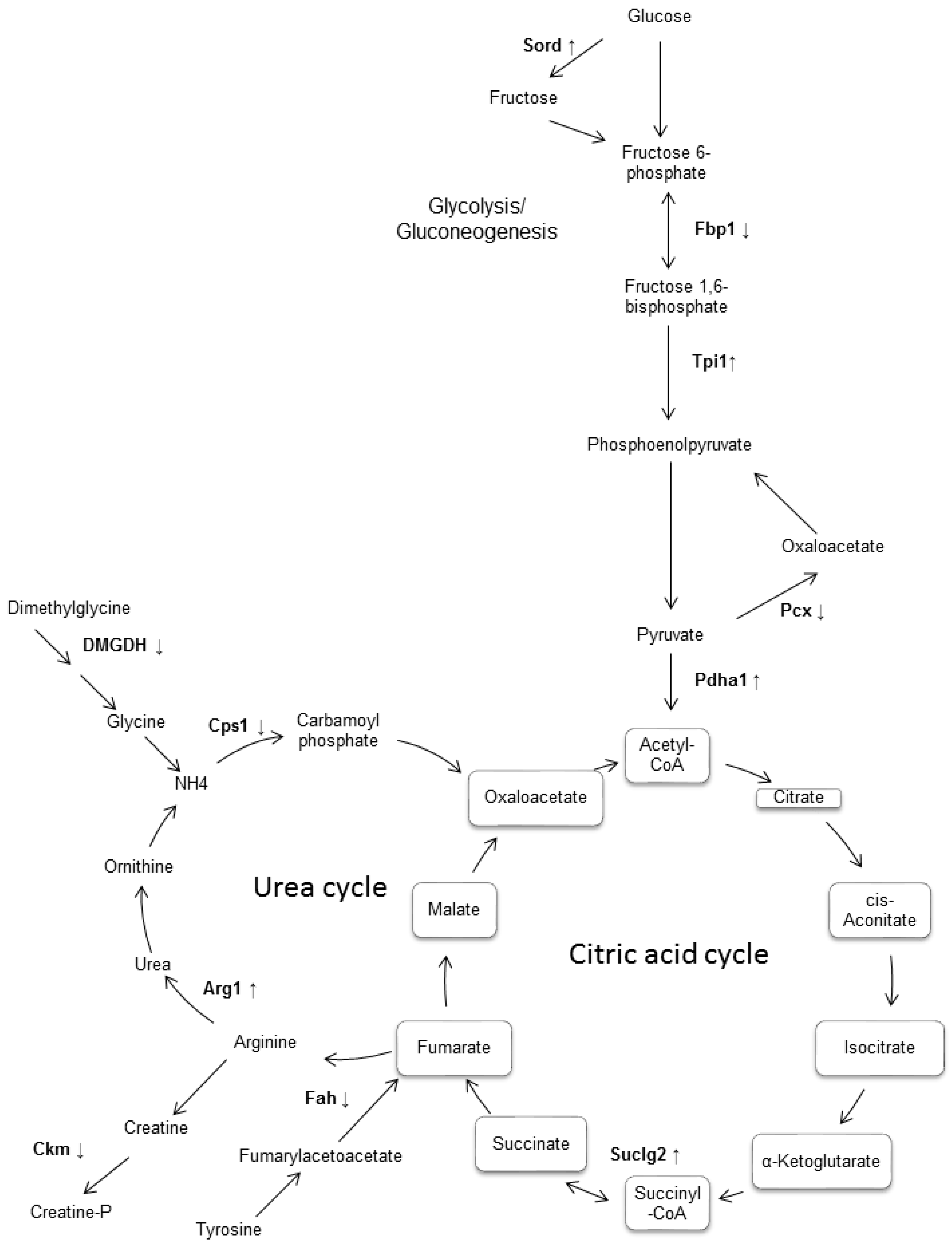 Biomolecules 08 00035 g003