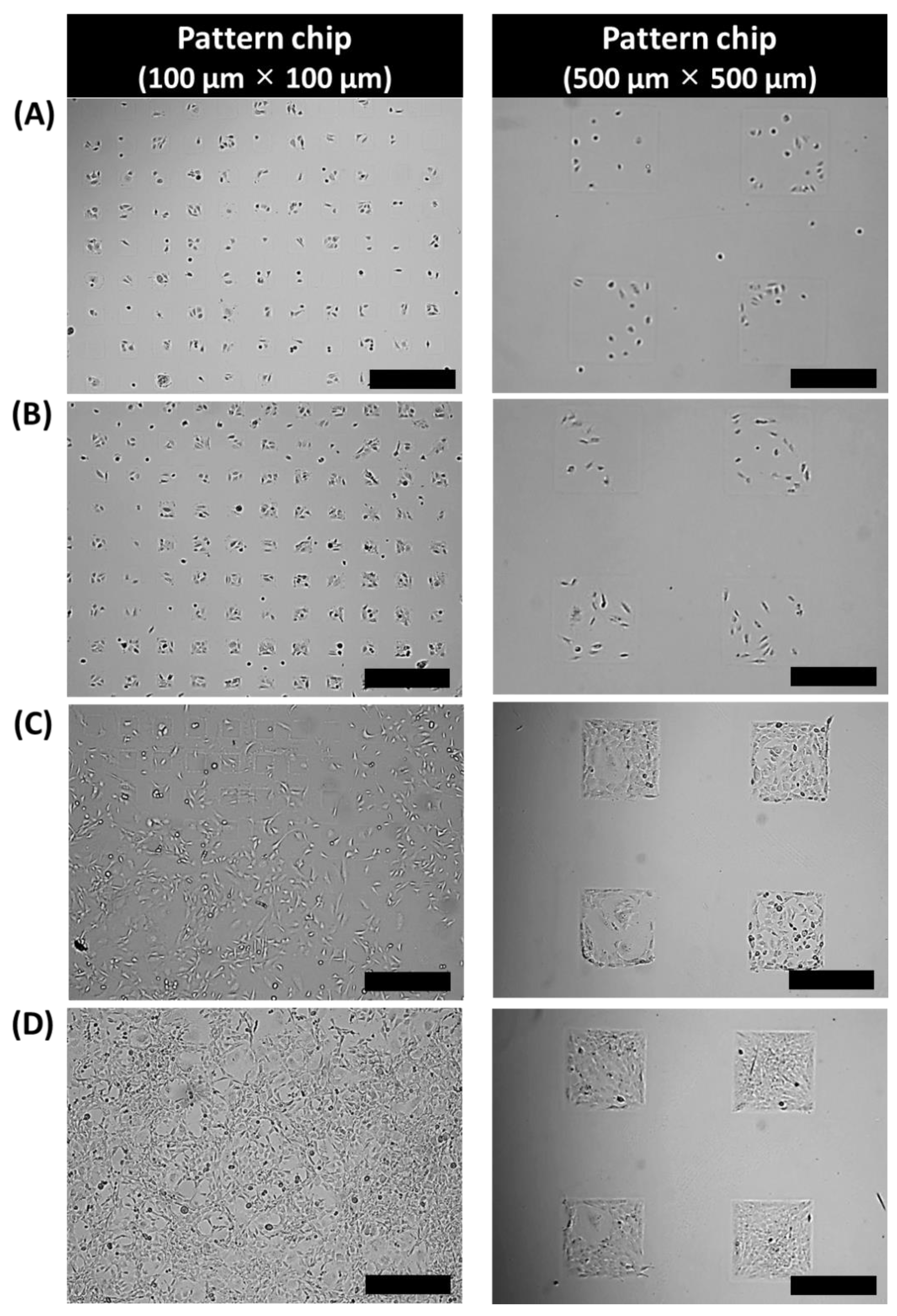 Biomolecules 08 00037 g002