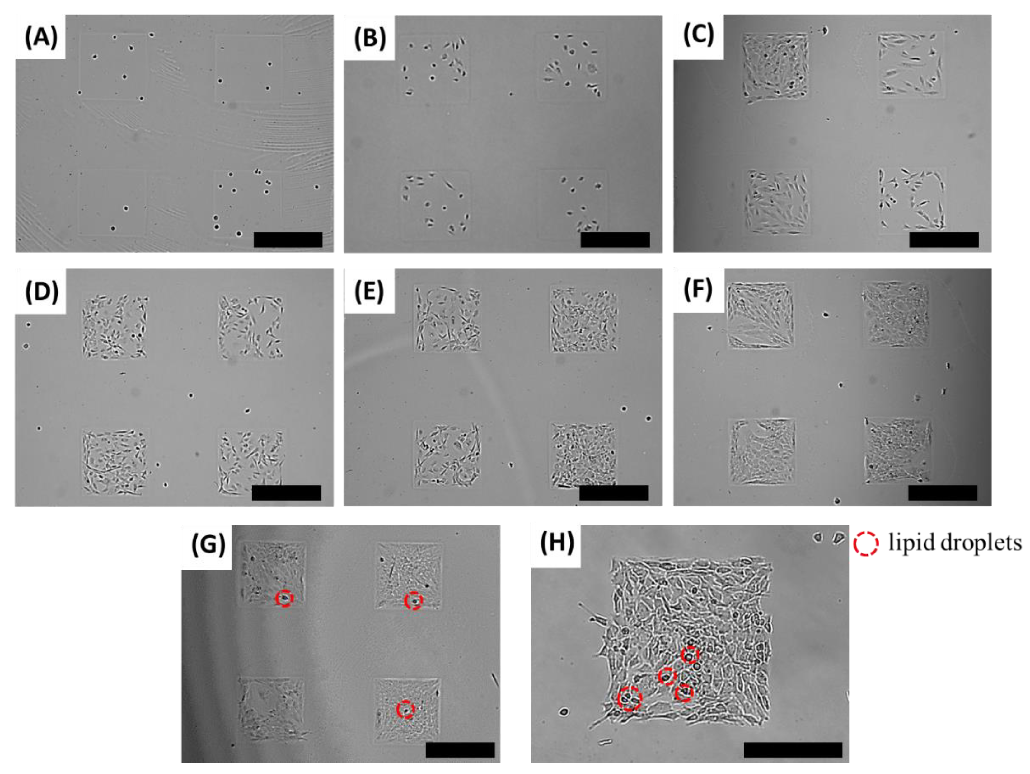 Biomolecules 08 00037 g003