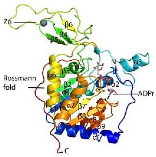 Biomolecules Free FullText A Review of the Recent Advances Made
