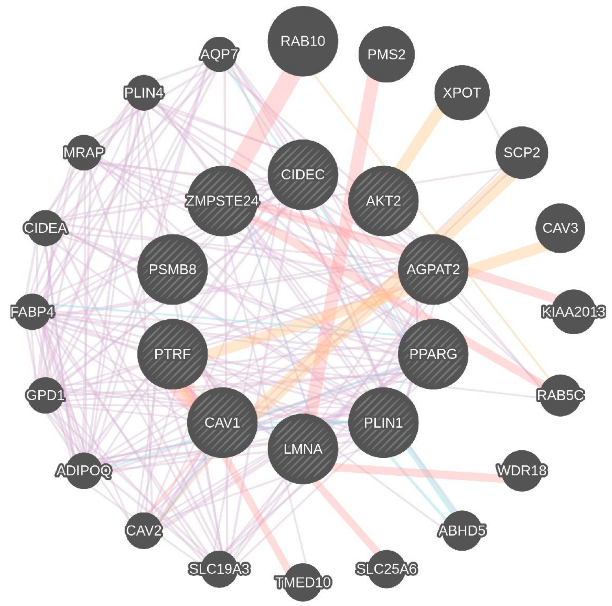 Biomolecules 08 00047 g002 Biomolecules 08 00047 g002