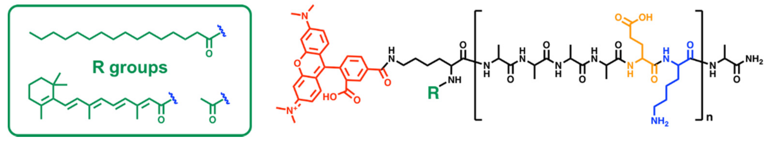 Biomolecules 08 00048 g001 Biomolecules 08 00048 g001
