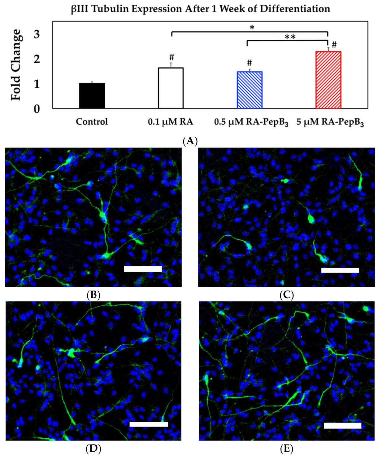 Biomolecules 08 00048 g012 Biomolecules 08 00048 g012