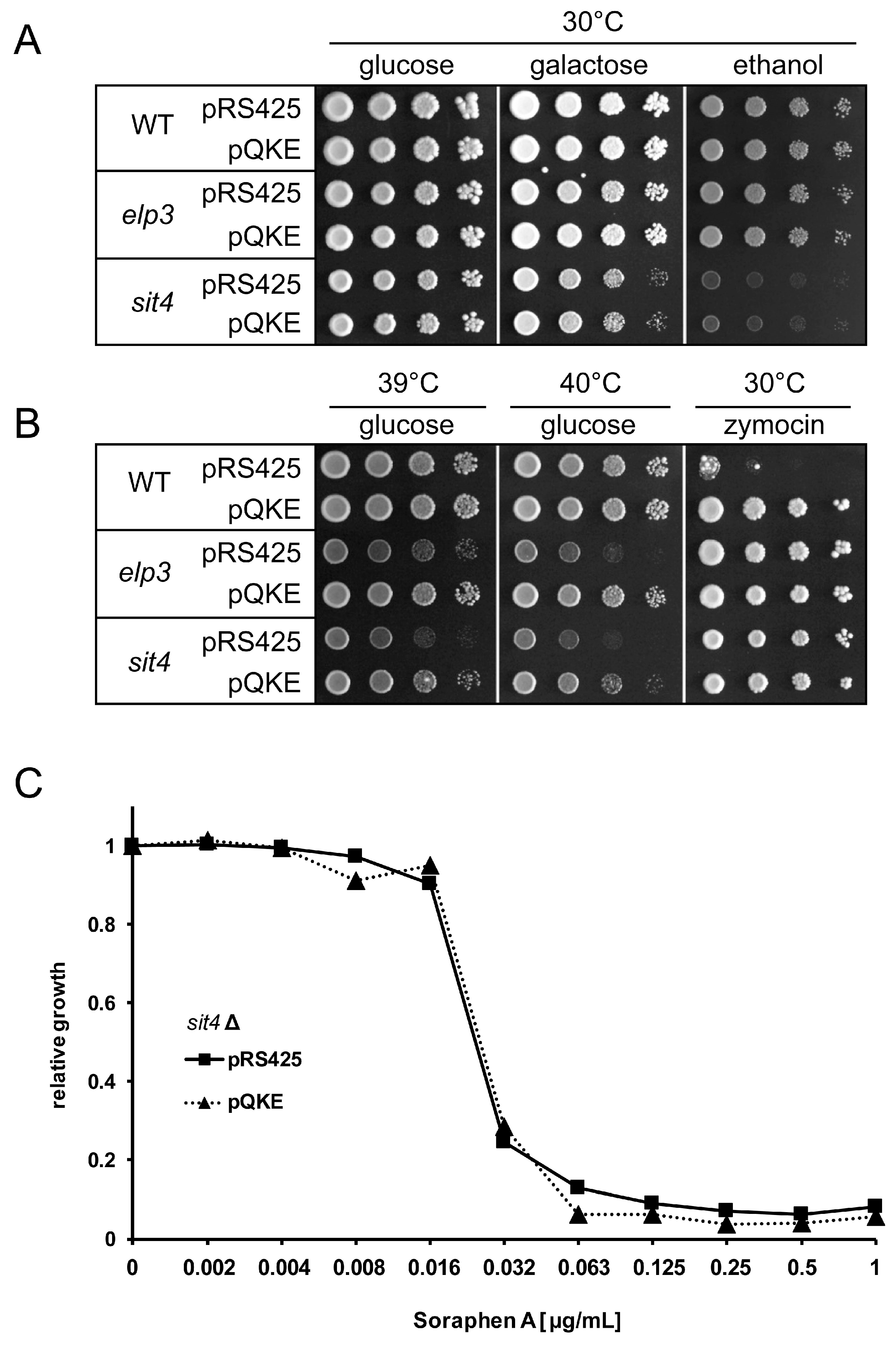Biomolecules 08 00049 g001 Biomolecules 08 00049 g001