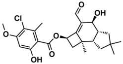 Biomolecules 08 00056 i002 Biomolecules 08 00056 i002