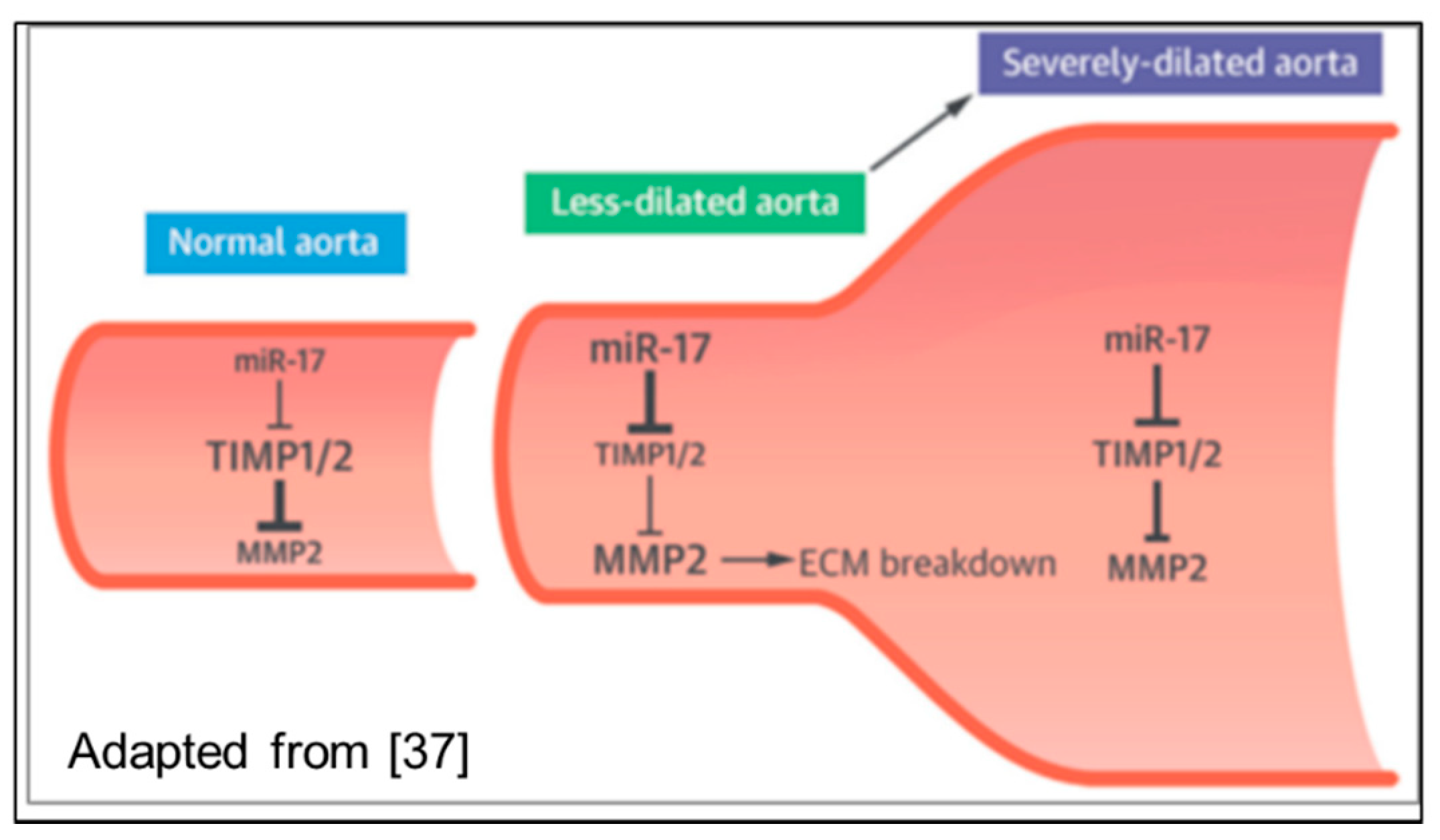 Biomolecules 08 00058 g006 Biomolecules 08 00058 g006