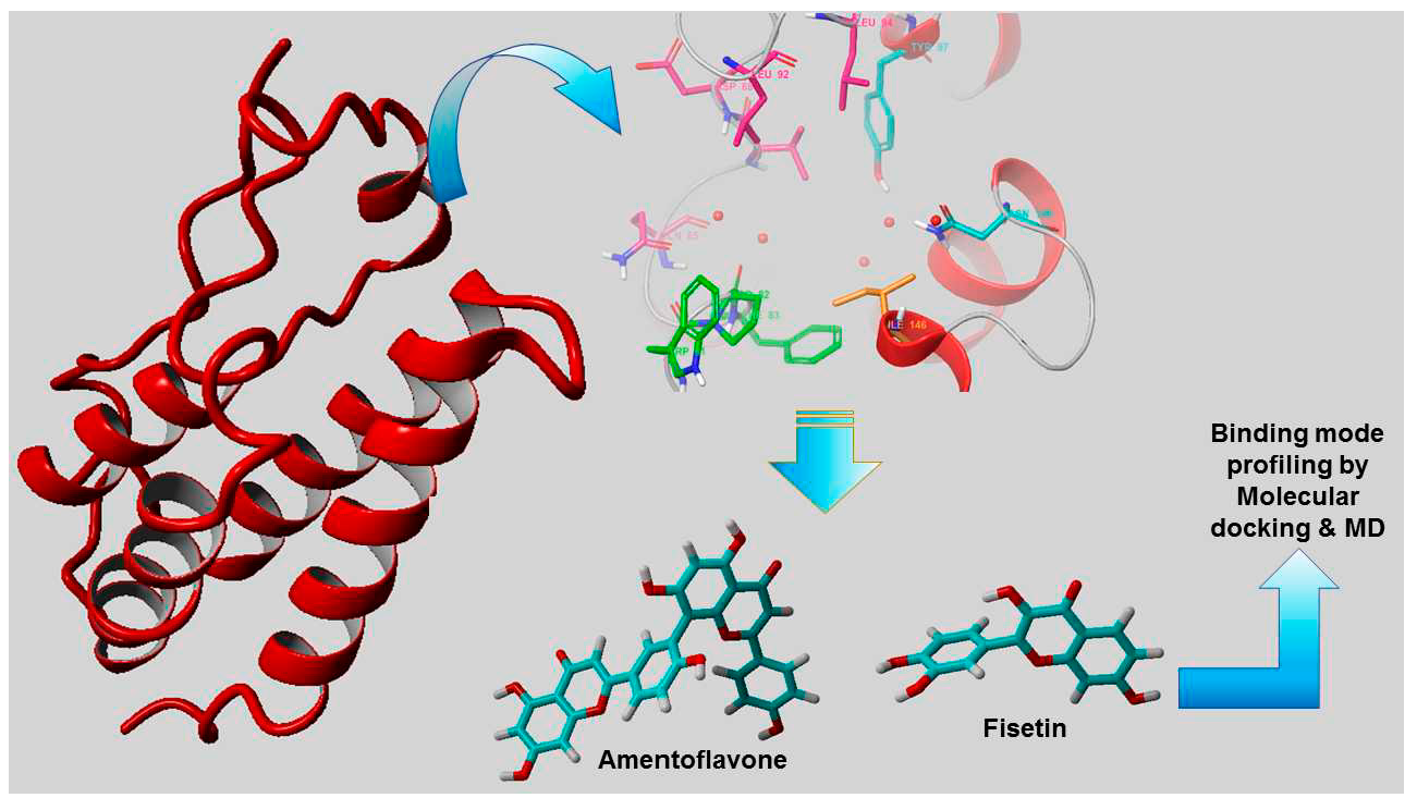 Biomolecules Free FullText Flavonoids as Putative EpiModulators