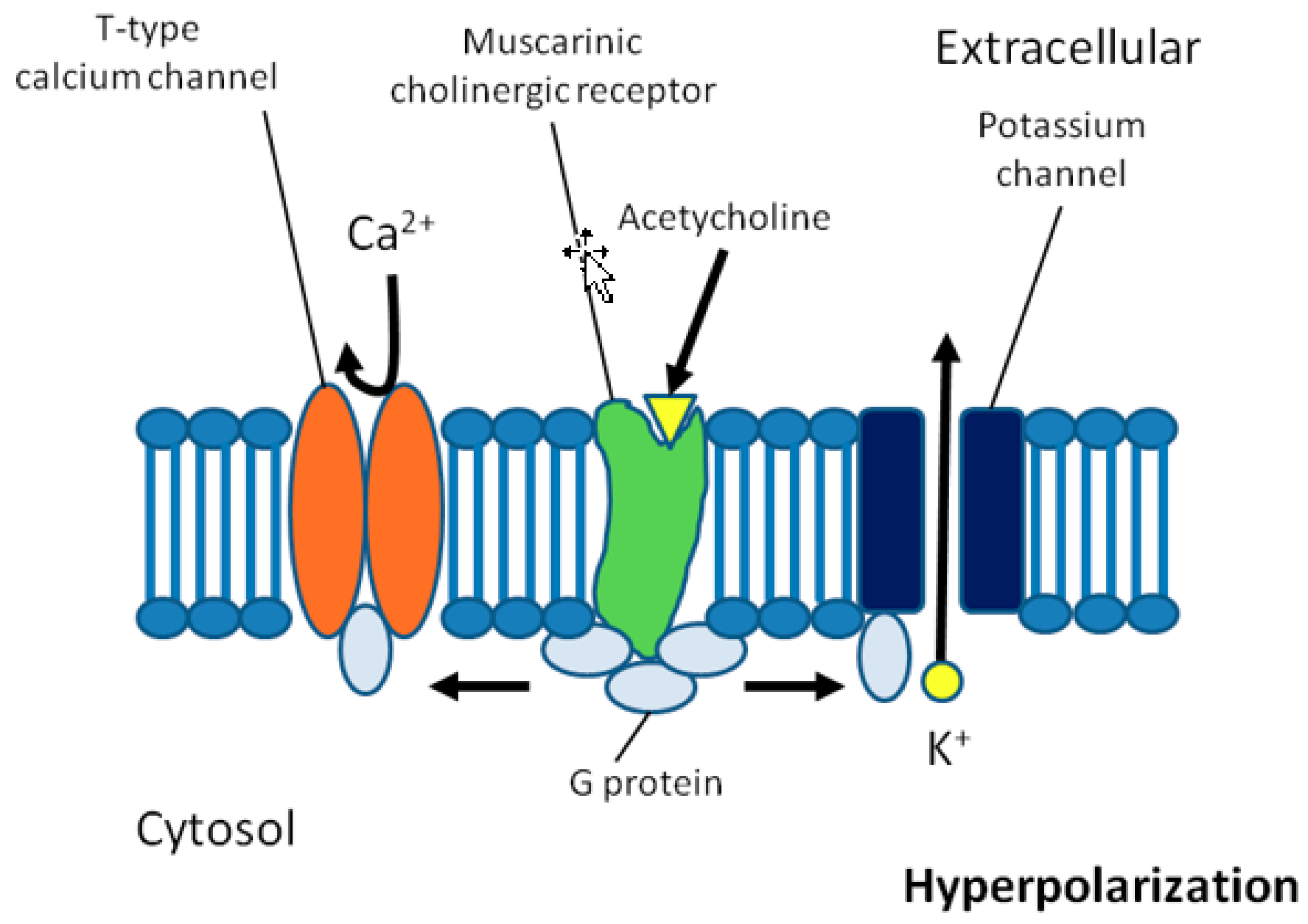 Biomolecules 08 00066 g002 Biomolecules 08 00066 g002