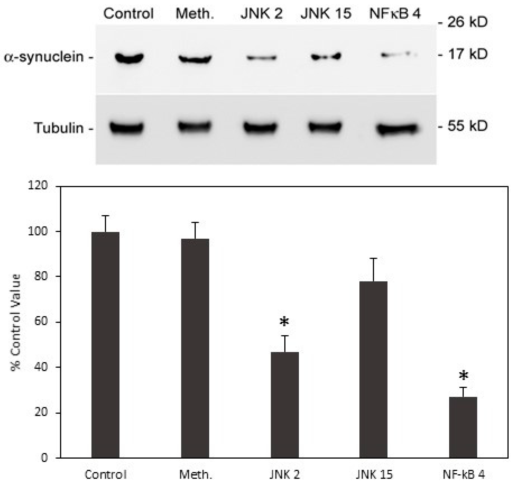 Biomolecules 08 00067 g010 Biomolecules 08 00067 g010