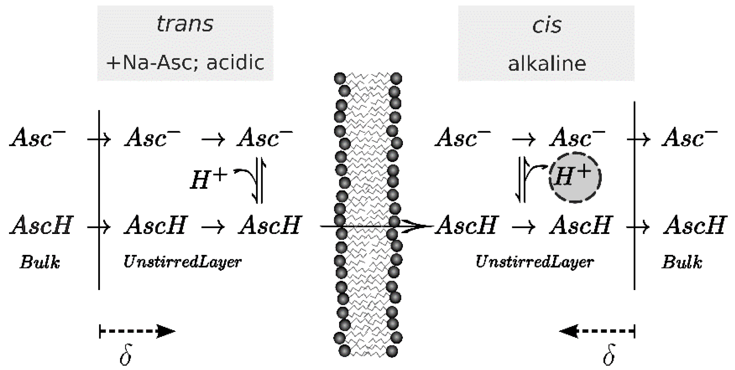 Biomolecules 08 00073 g001
