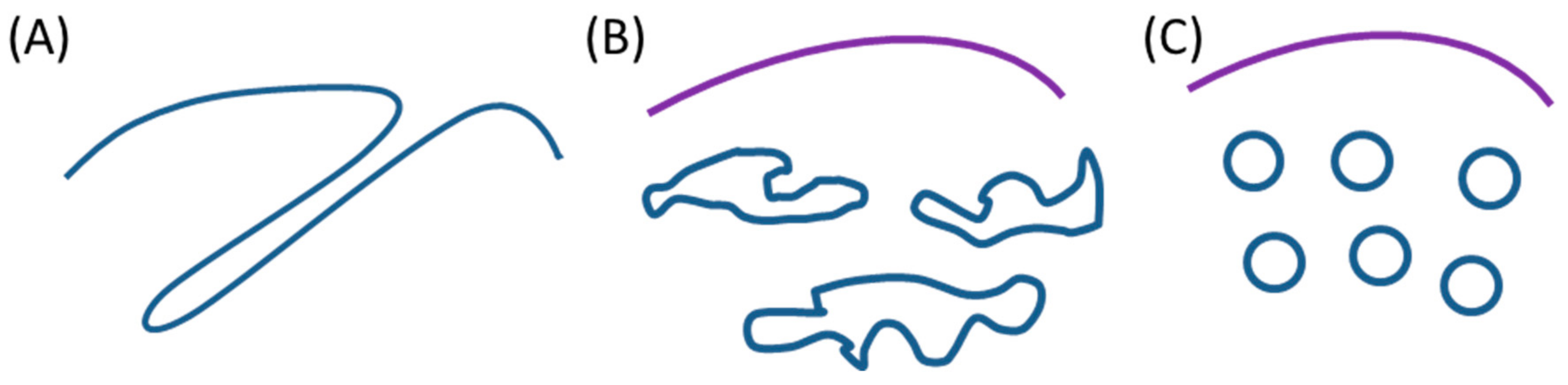 Biomolecules 08 00088 g001