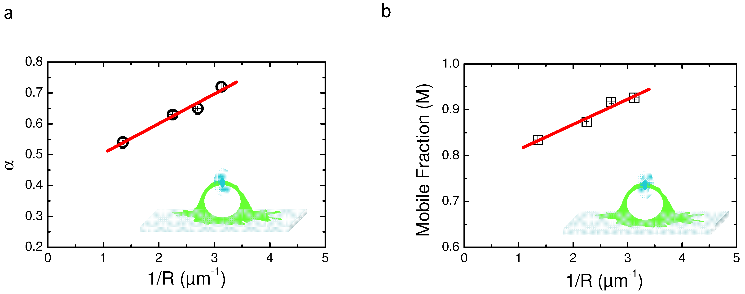 Biomolecules 08 00090 g005