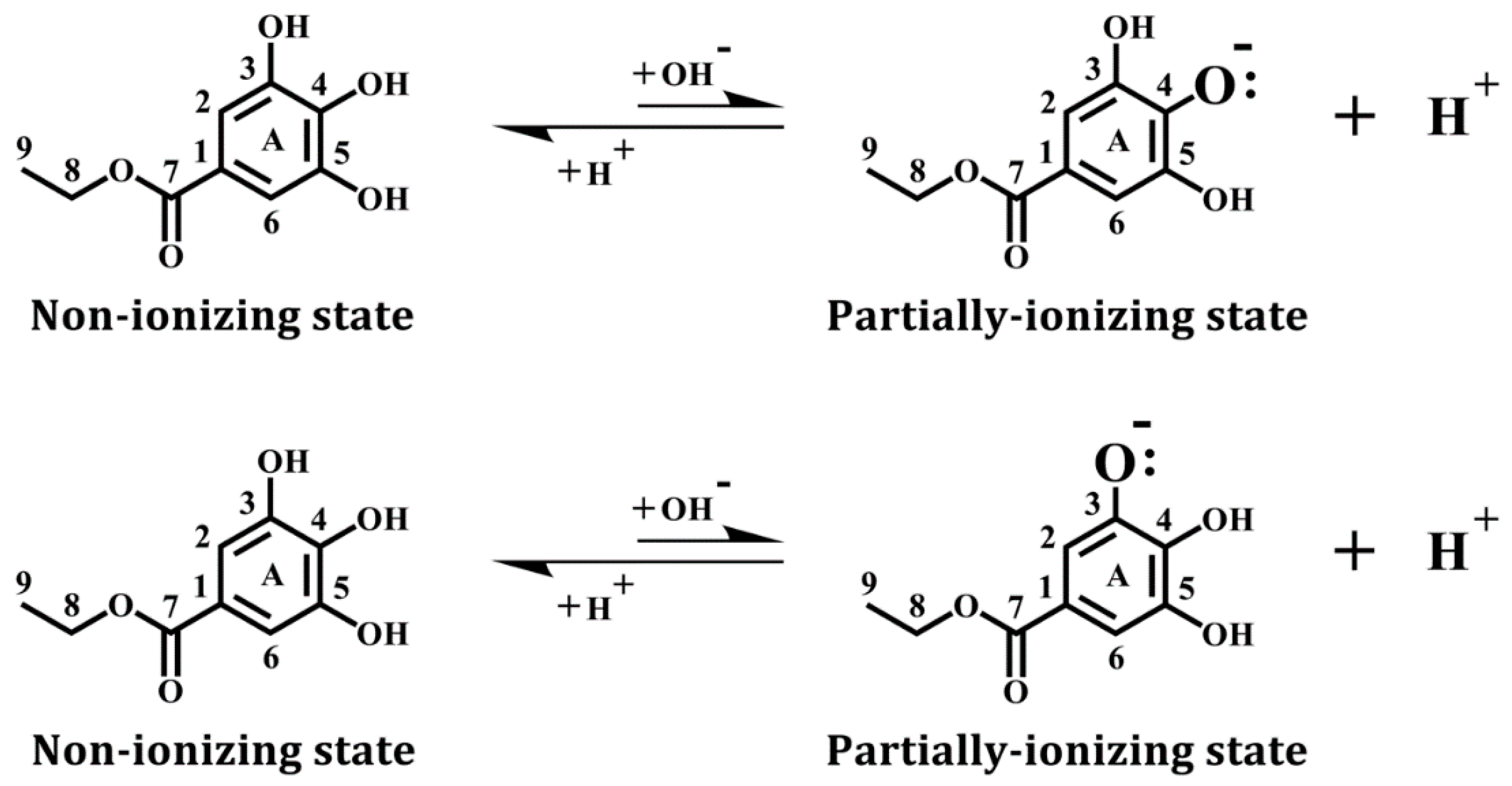 Biomolecules 08 00091 g001 Biomolecules 08 00091 g001